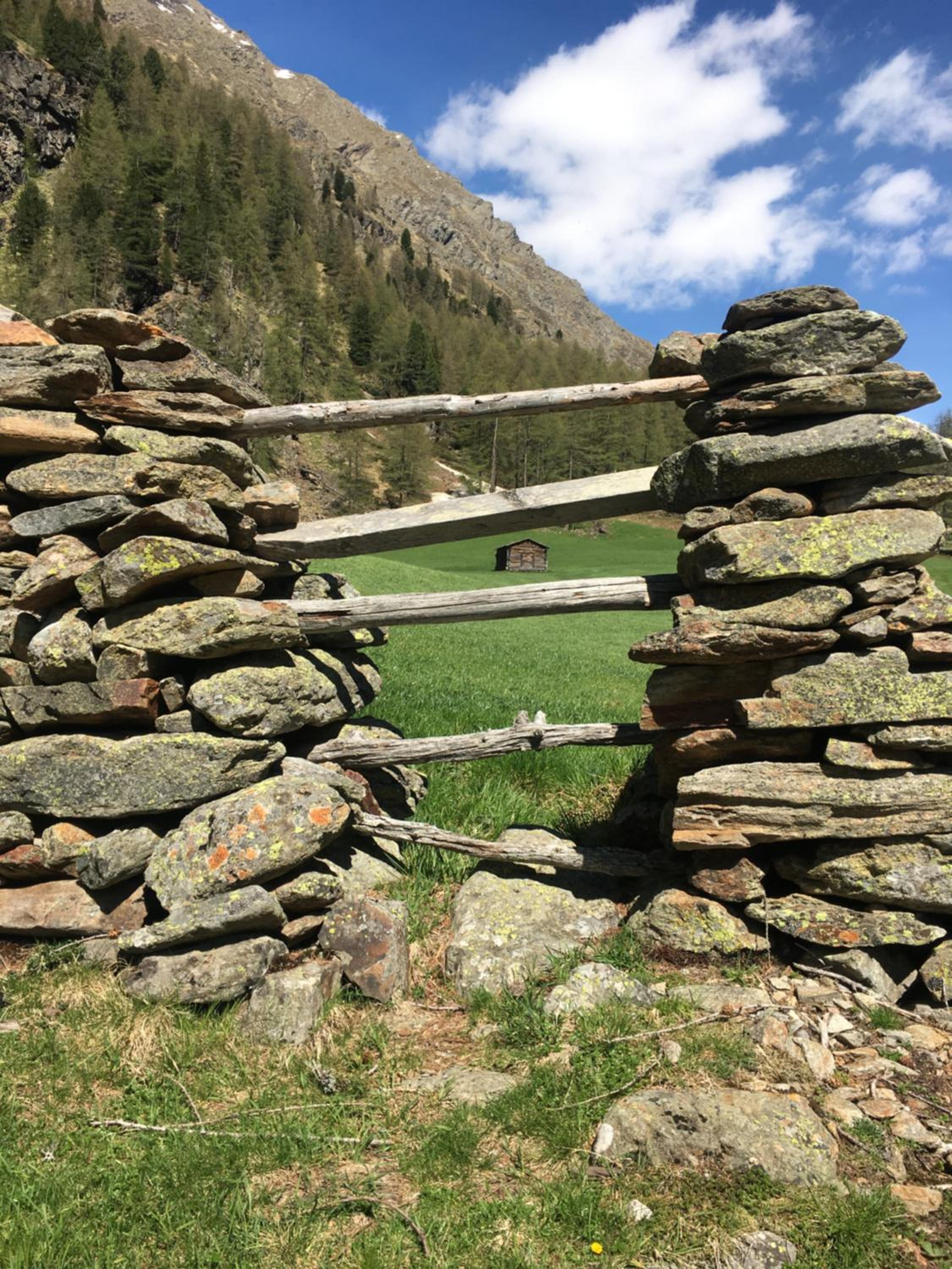 Ferienwohnungen Peisserhof