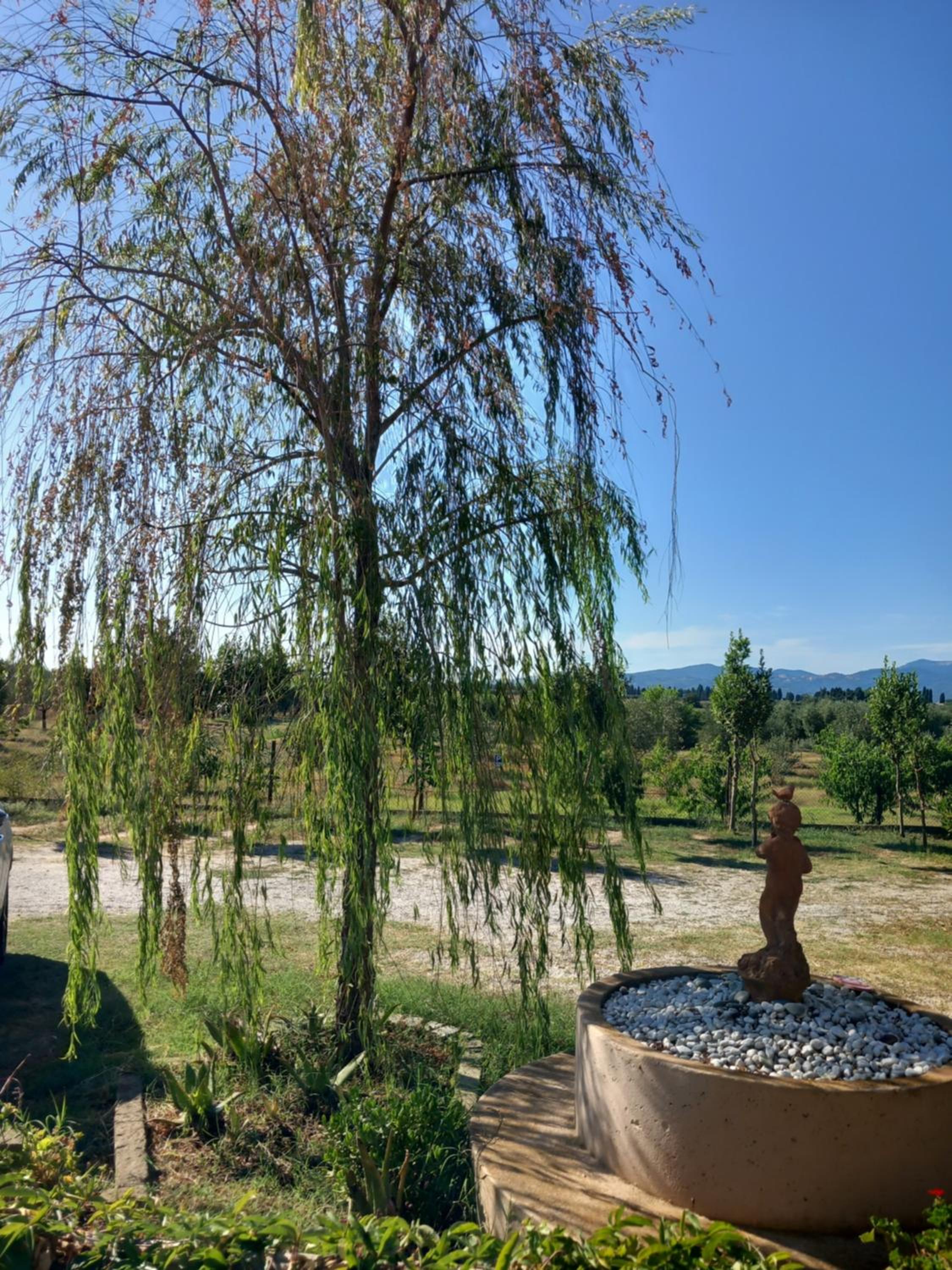 Azienda Agrituristica Le Betulle