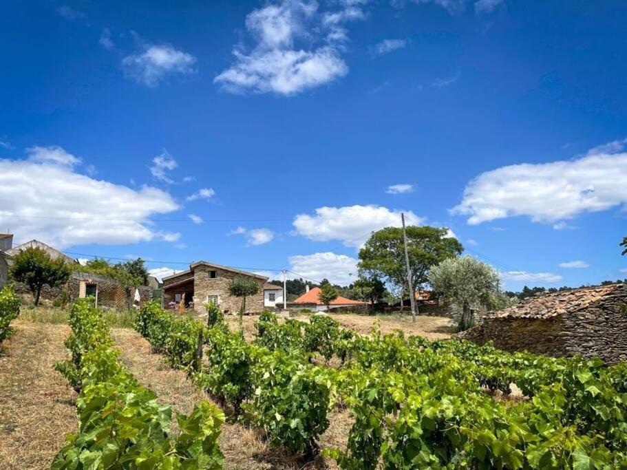Casa de Cotas