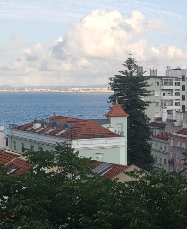 Sunny Double Room in a Shared Apartment close to Lisbon Downtown