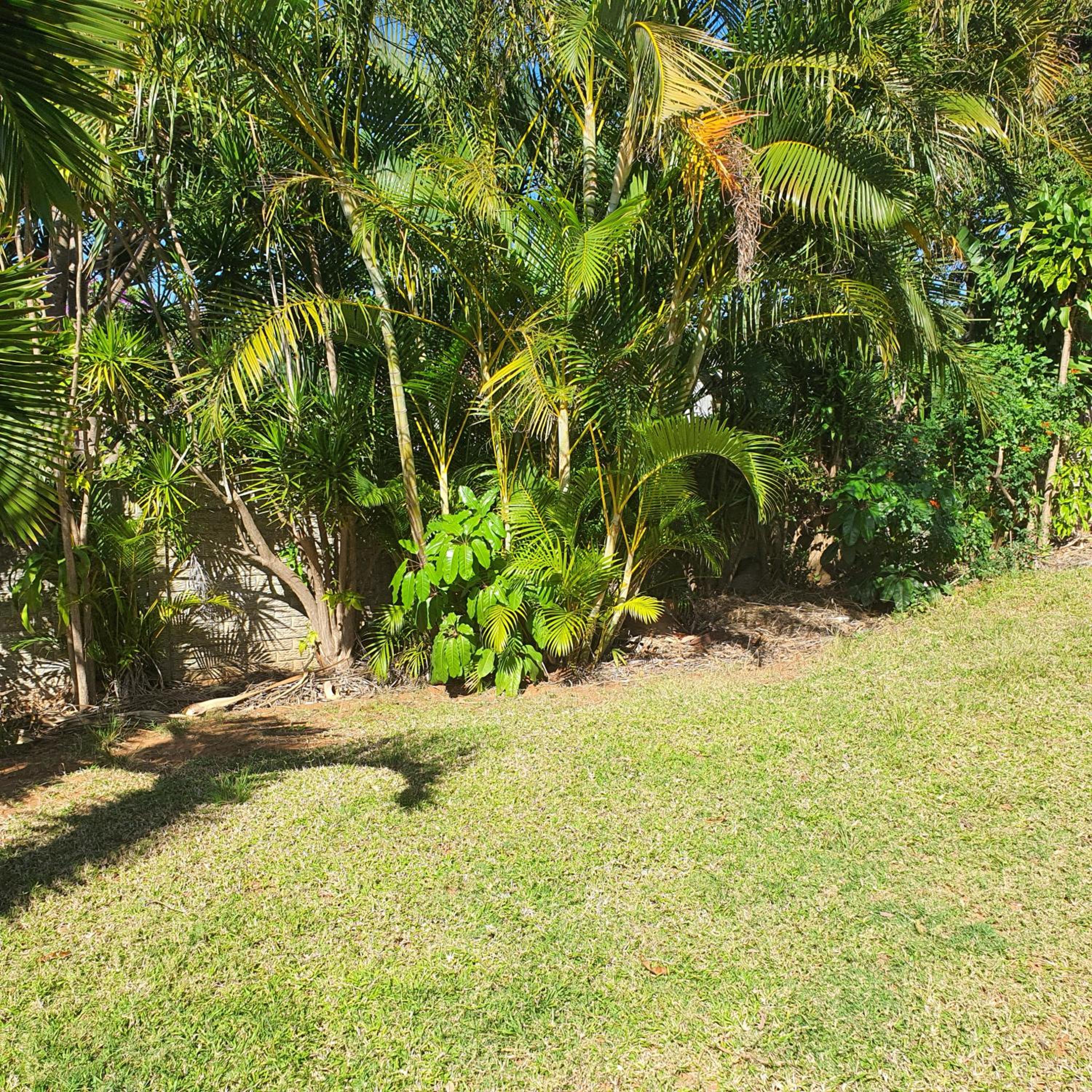 Photo 45
