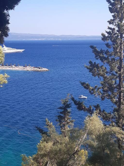 Multiverse