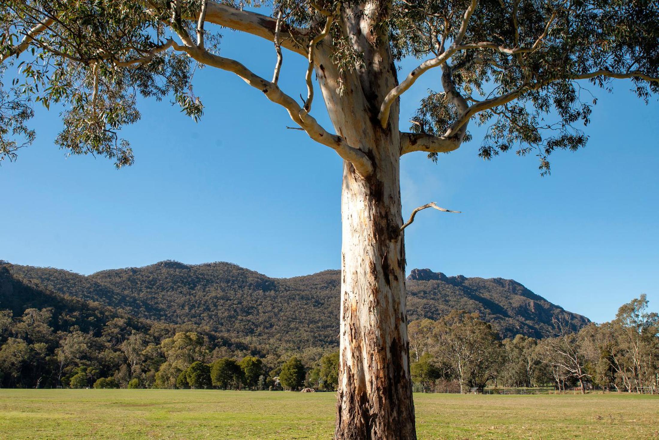 Heath House Luxury Halls Gap Accommodation