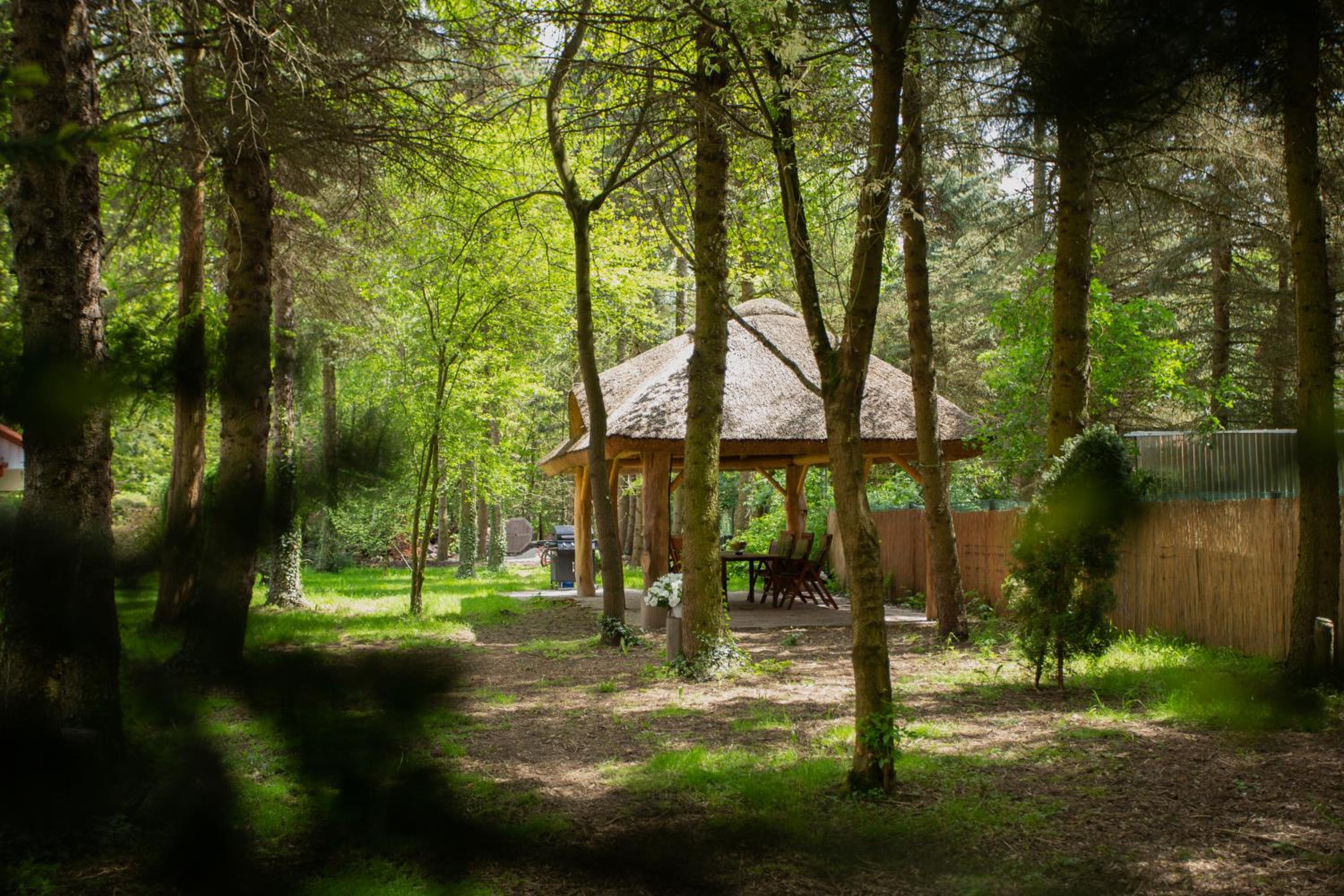 children's play area
