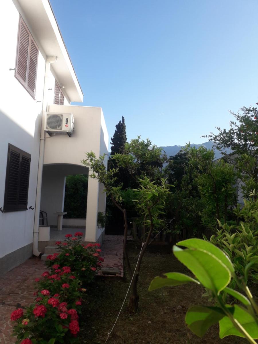 Elizabeth Vila Budva near Old town photo 5