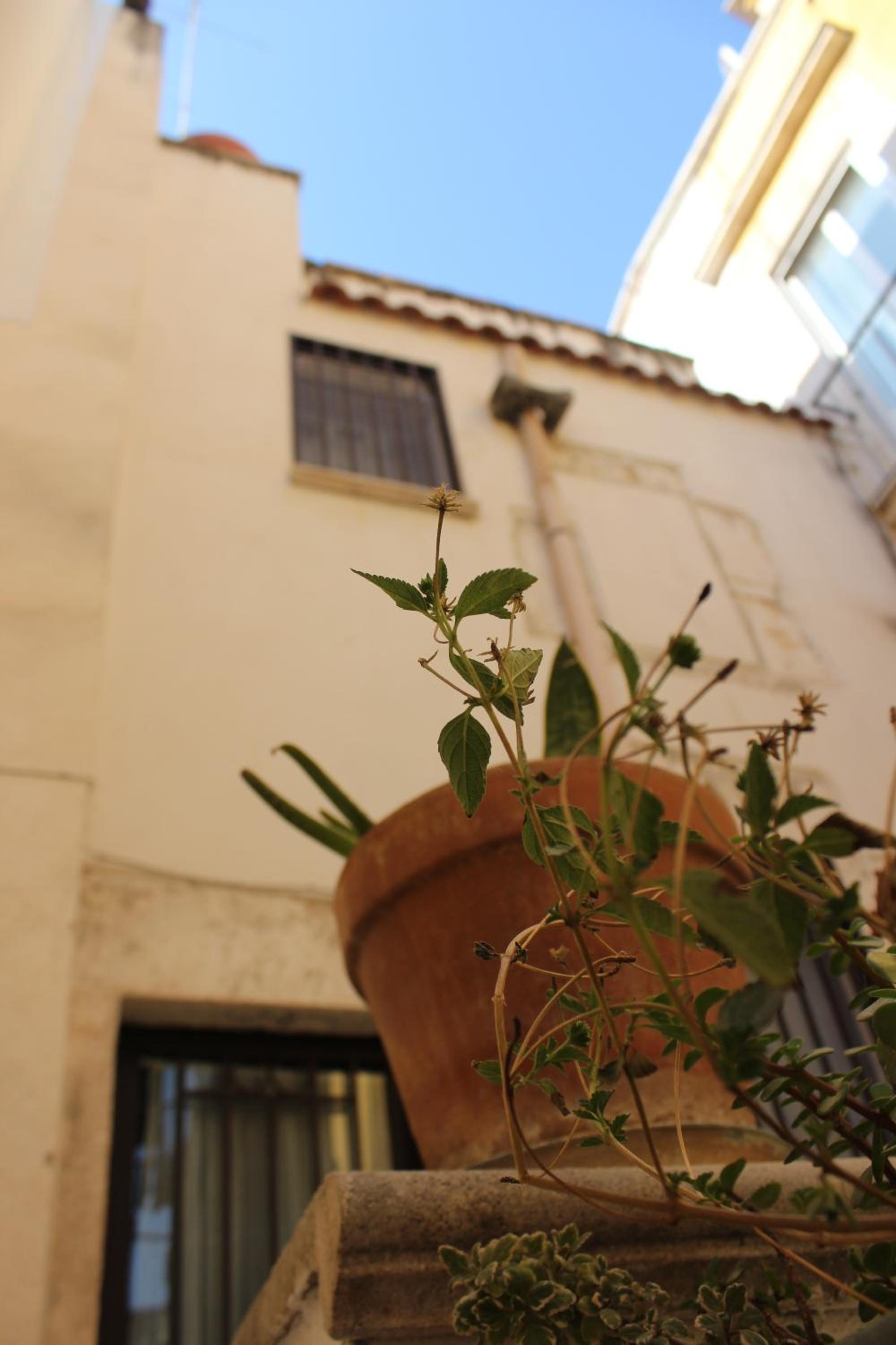 Casa Torre dell'Angelo photo 2