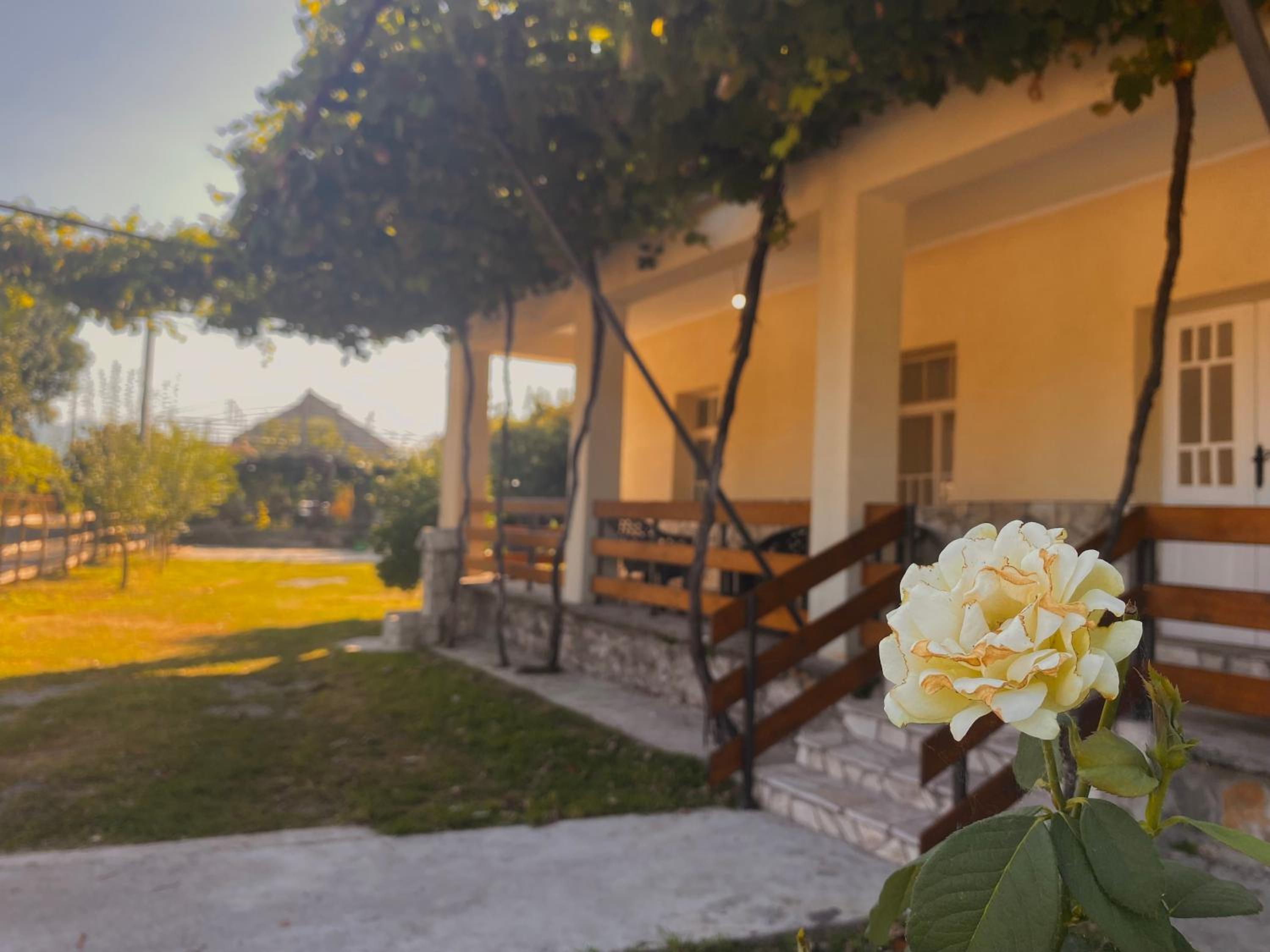 Sweet Home-Skadar Lake view 2