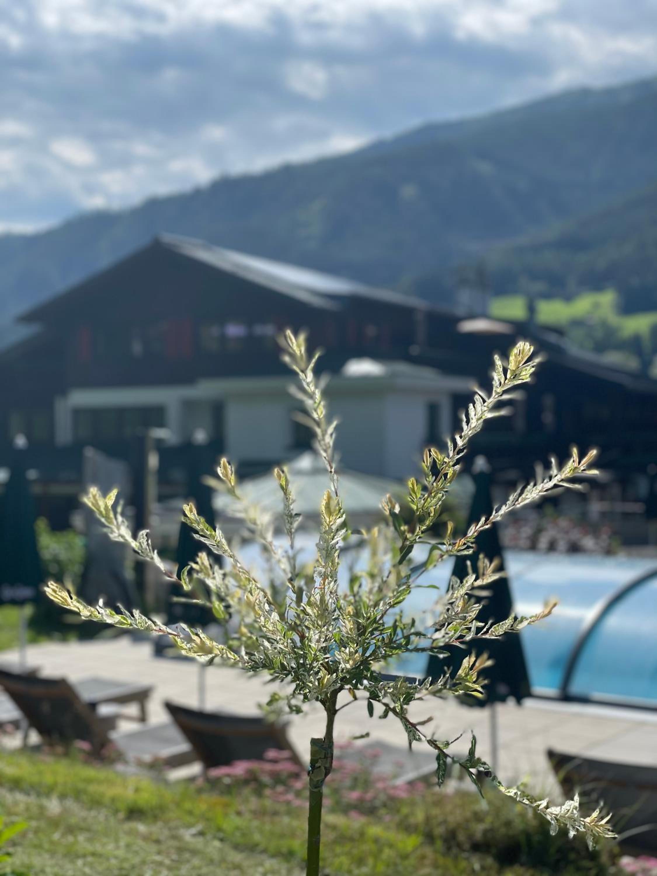 Hotel Senningerbräu
