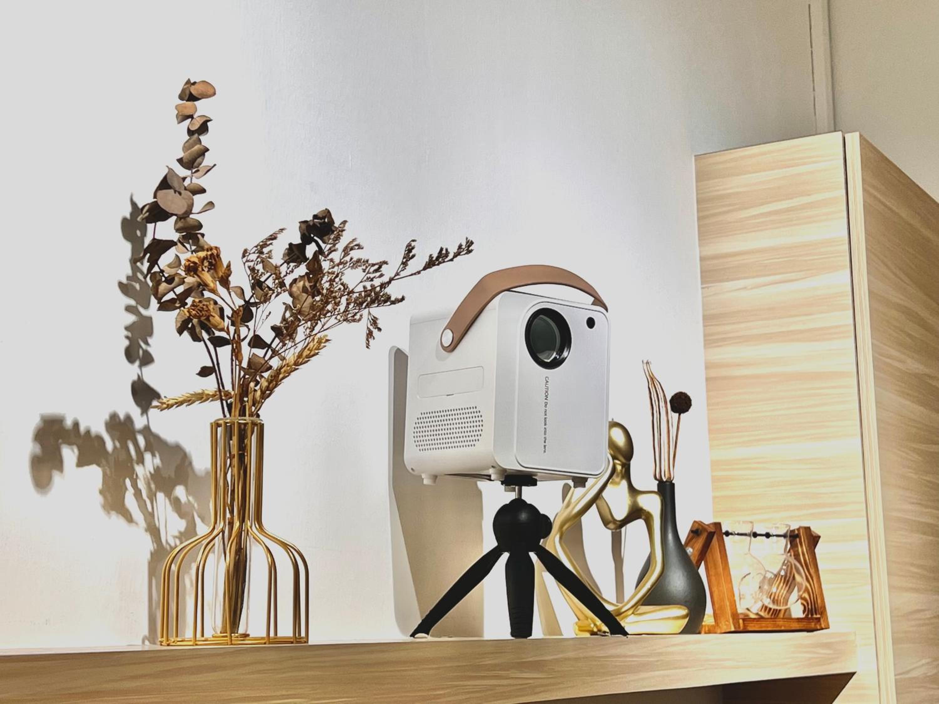 HeyMuji Projector-Netflix-Darts-Near Lotus photo 2