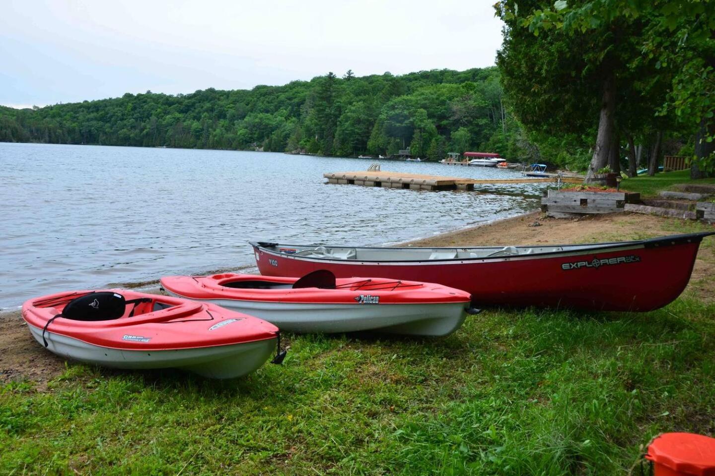 Dreamy Family Oasis ~ Lake Access ~ Games ~Skiing~Snowmobiling~Winter and Summer Activities