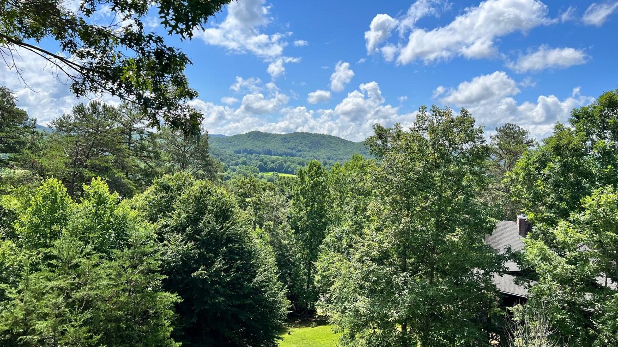 Mistletoe Cabin- Private cabin w views, Hottub, pet friendly view 3