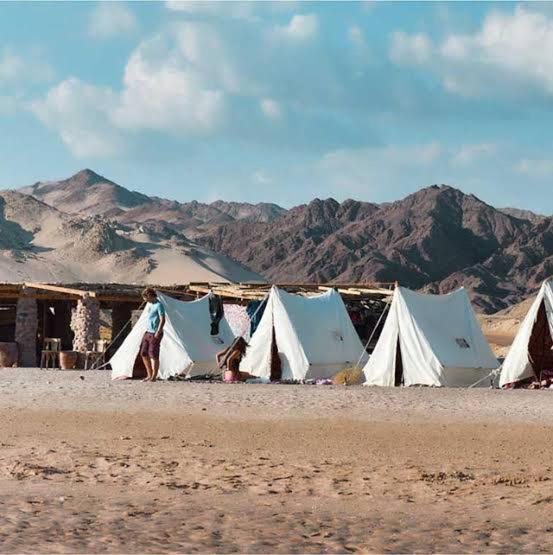 Blend in Nature Eco Camp Beachfront Stay in Ras Mohamed, Sharm El Sheikh