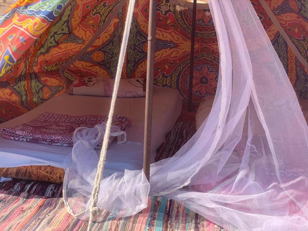 Blend in Nature Eco Camp Beachfront Stay in Ras Mohamed, Sharm El Sheikh