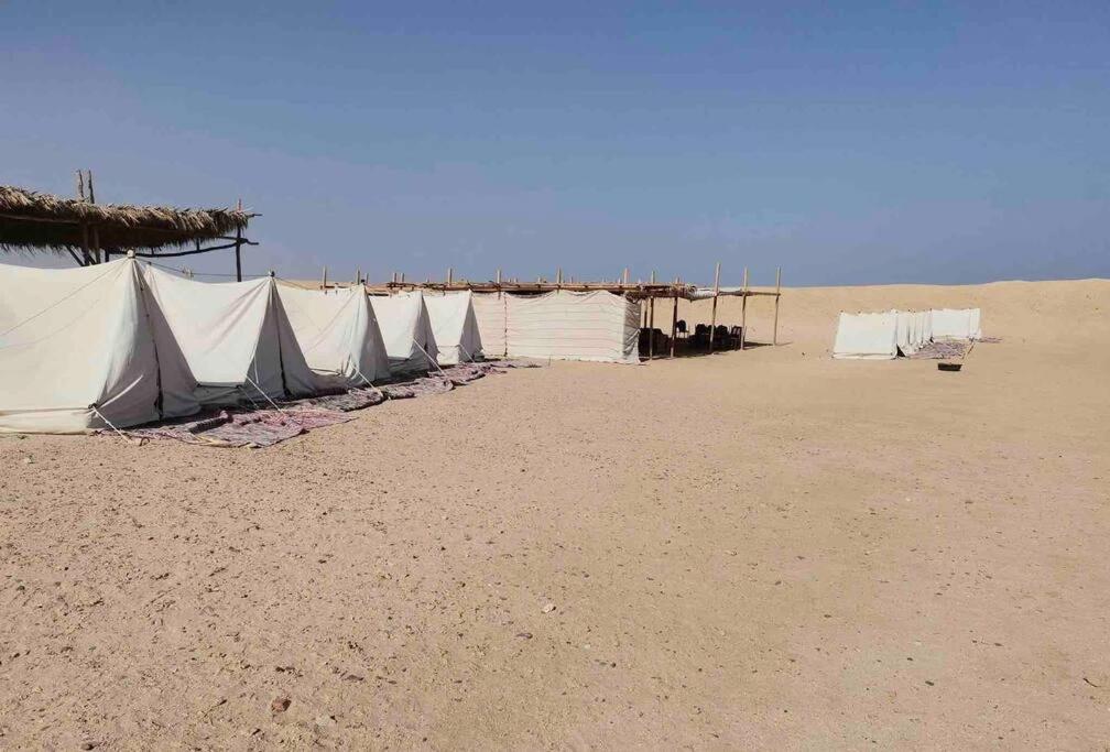 Blend in Nature Eco Camp Beachfront Stay in Ras Mohamed, Sharm El Sheikh