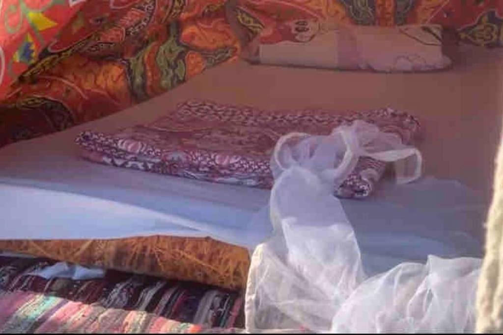 Blend in Nature Eco Camp Beachfront Stay in Ras Mohamed, Sharm El Sheikh