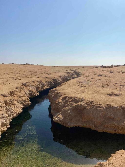 Blend in Nature Eco Camp Beachfront Stay in Ras Mohamed, Sharm El Sheikh