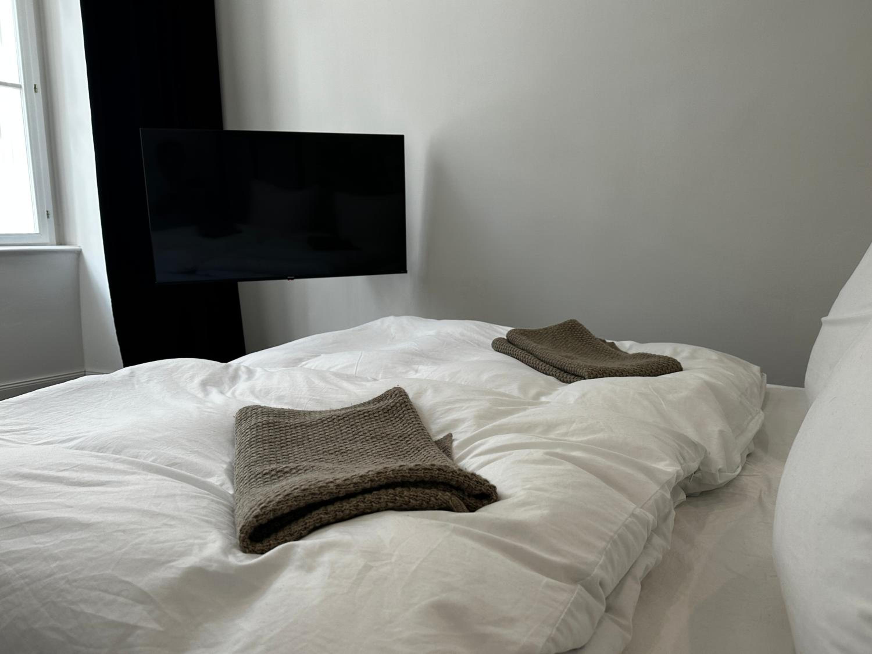 Luxury City Apartment Downtown Vienna