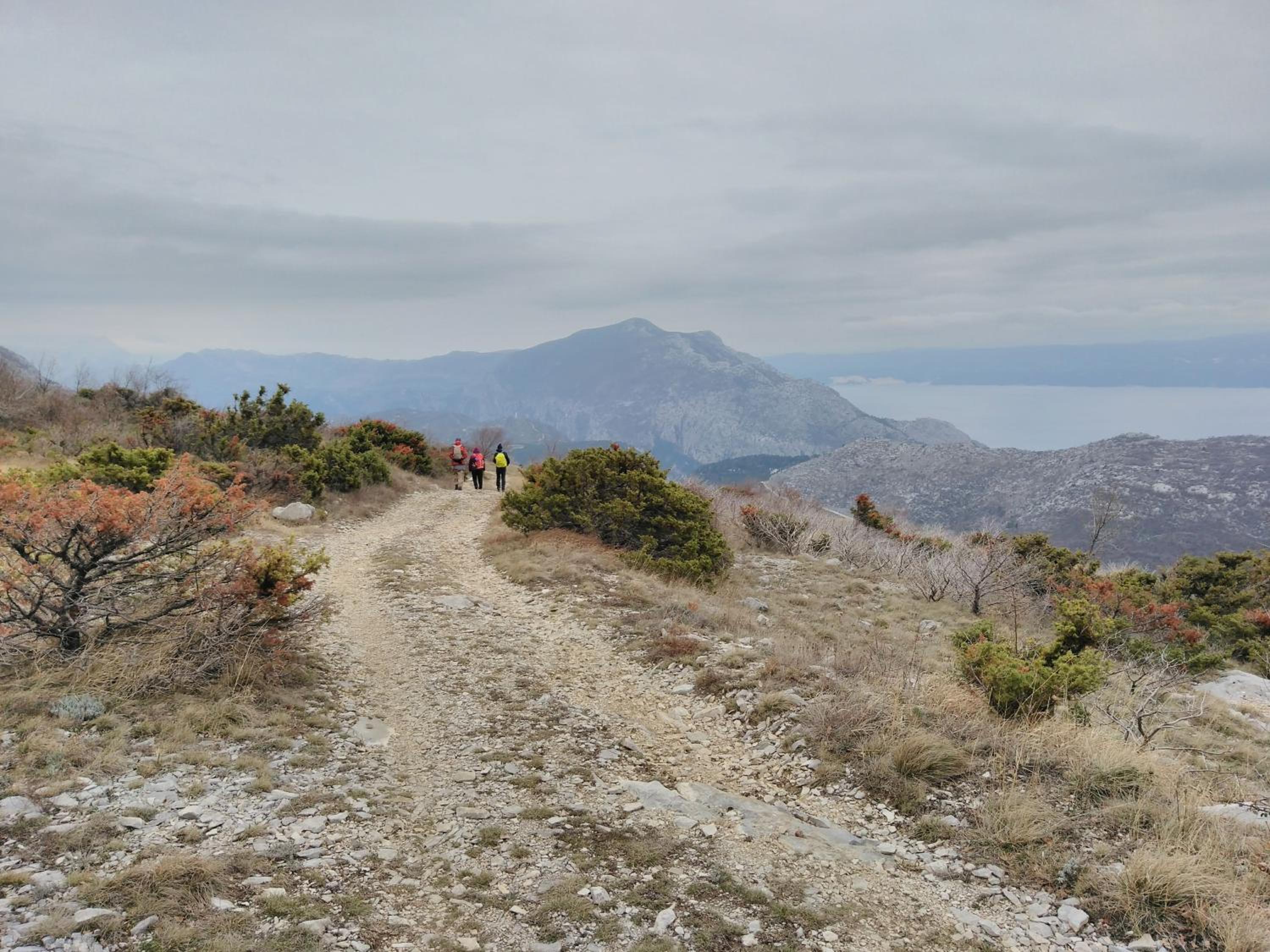 TETA NEDA view 5