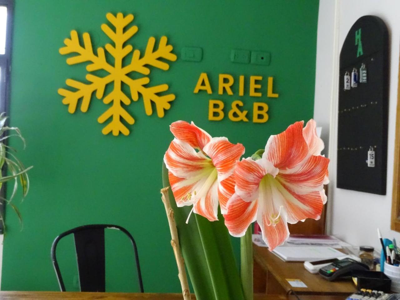Hotel Ariel