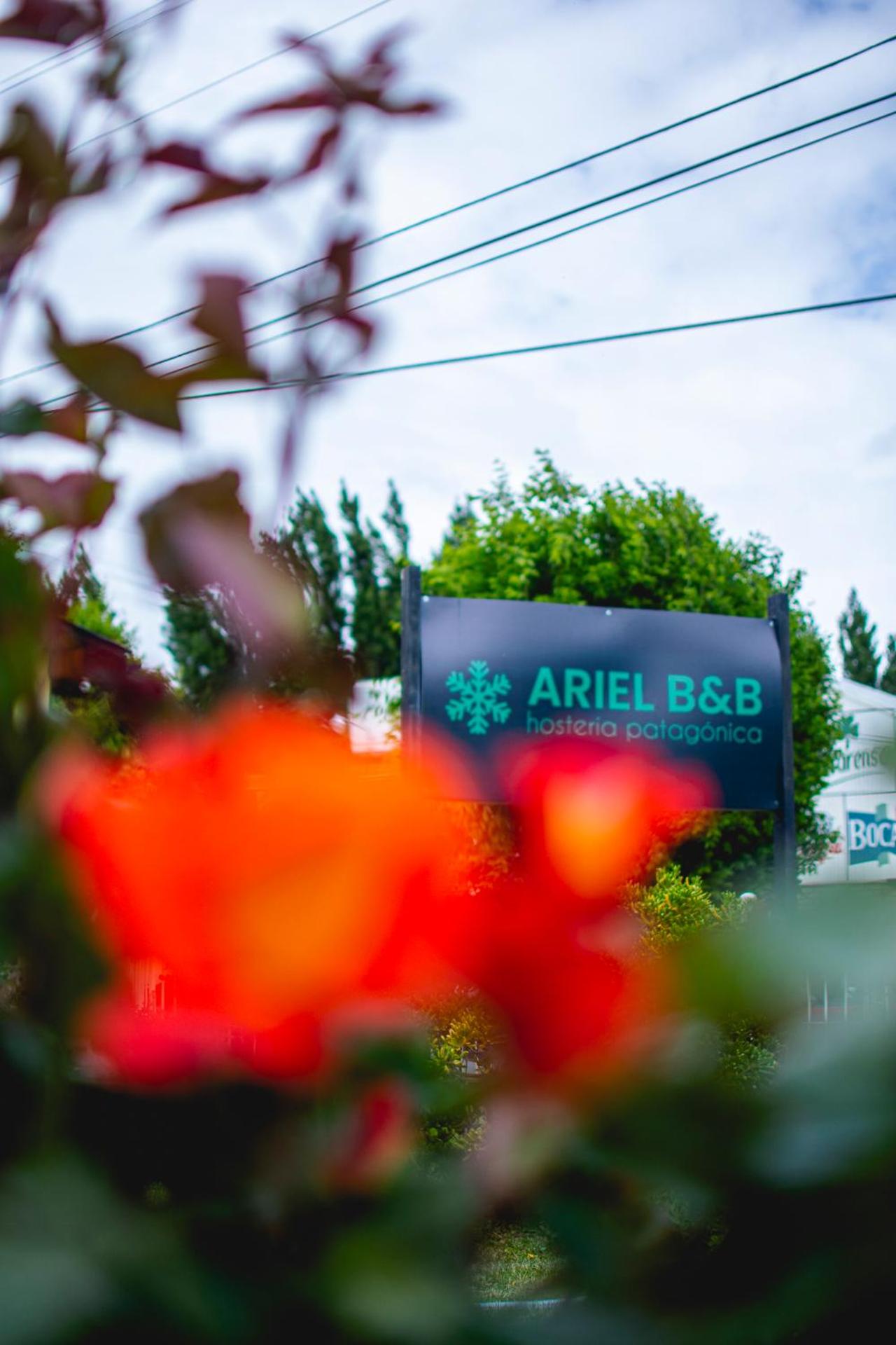 Hotel Ariel