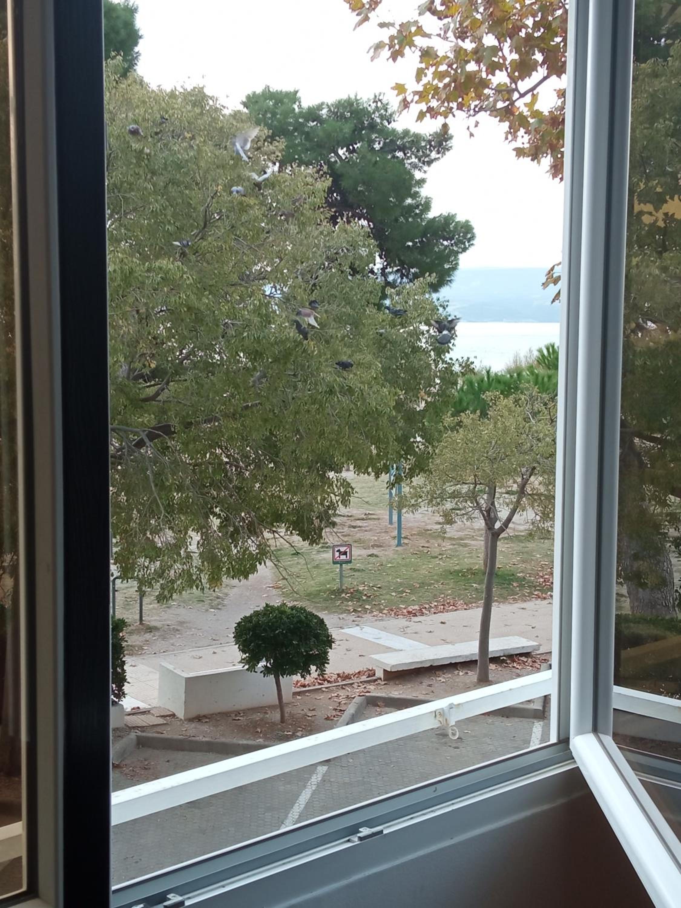 TETA NEDA view 2