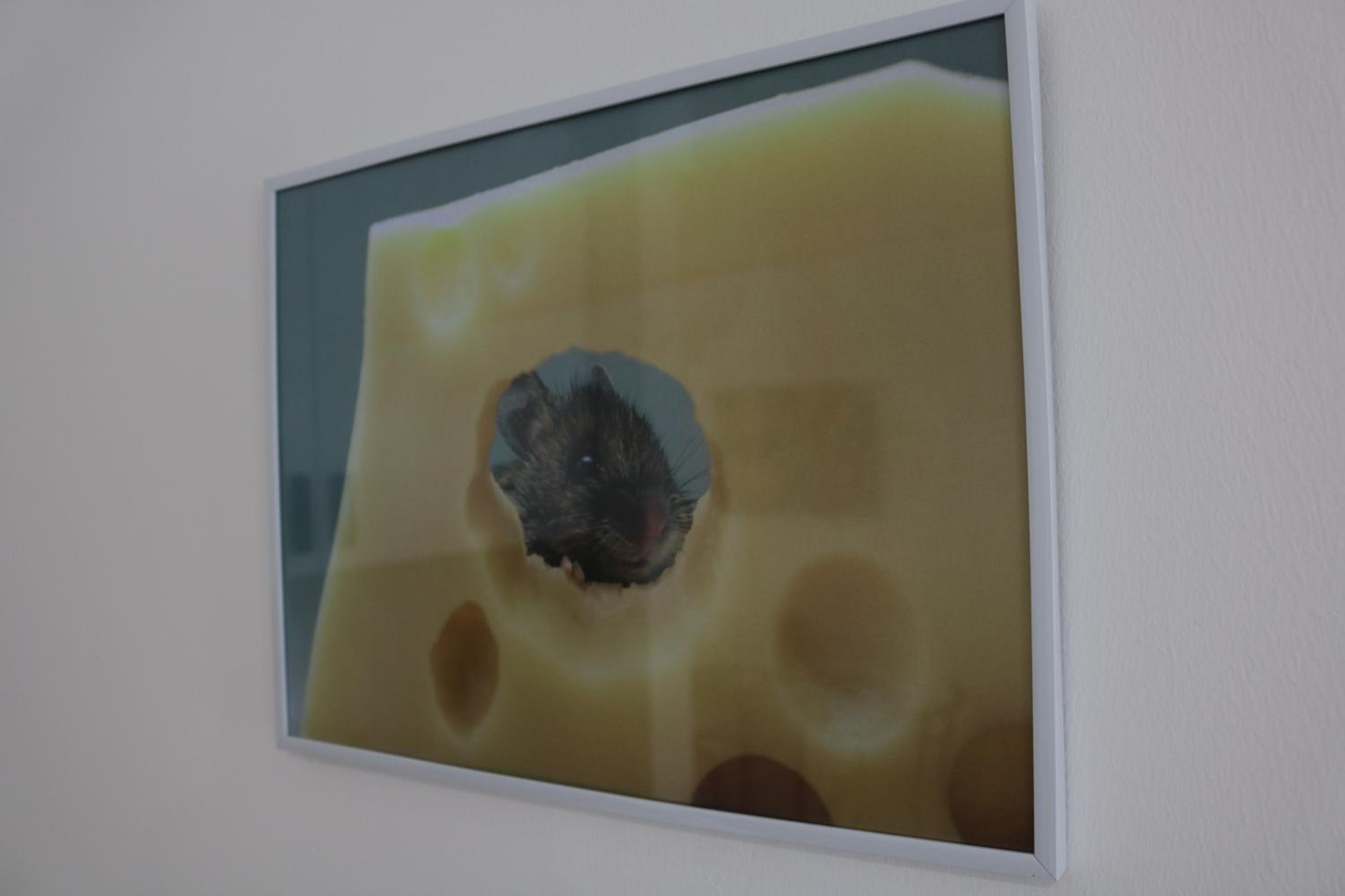 Photo 43