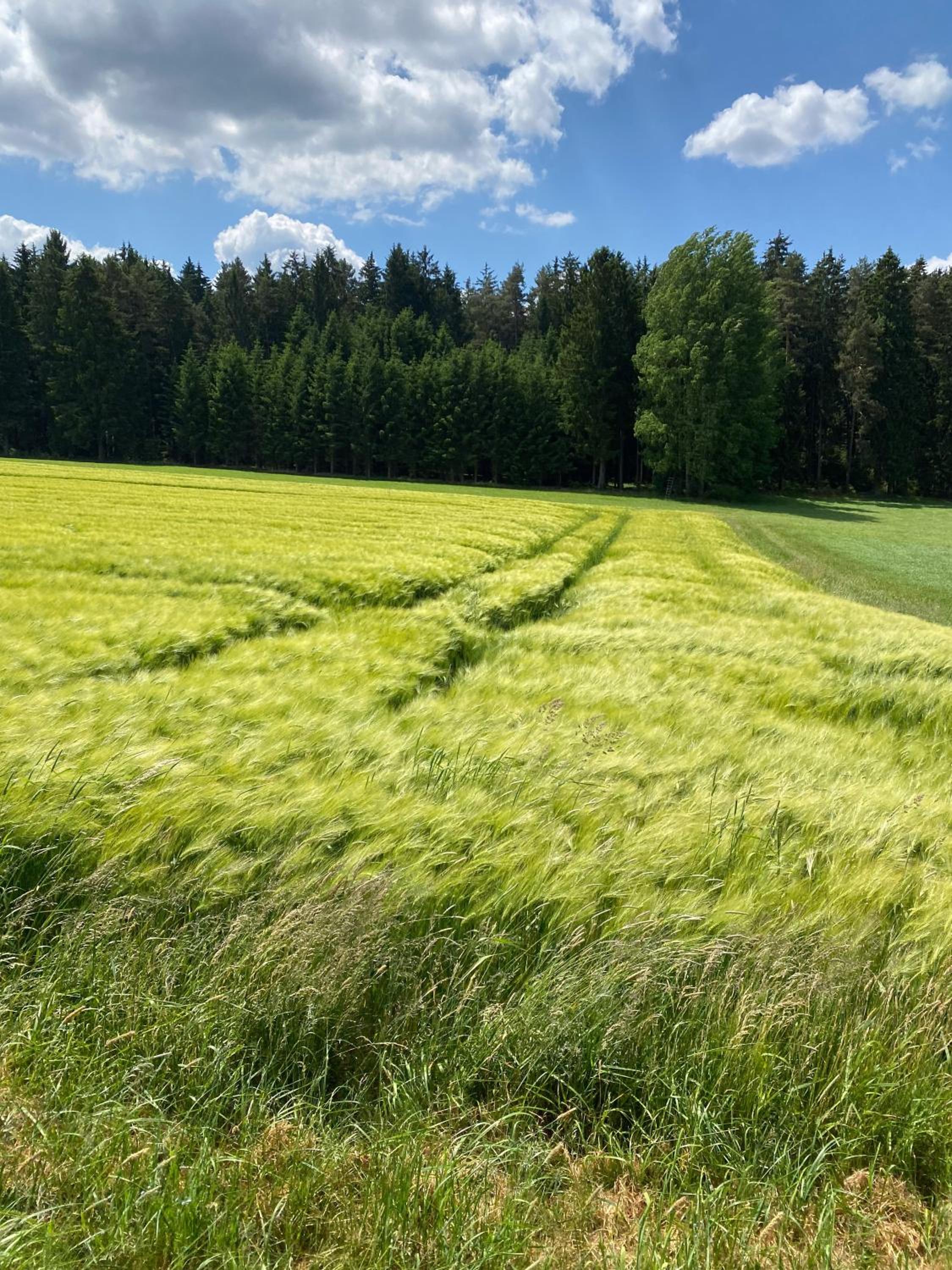 Haus mit Geschichte in Mähring