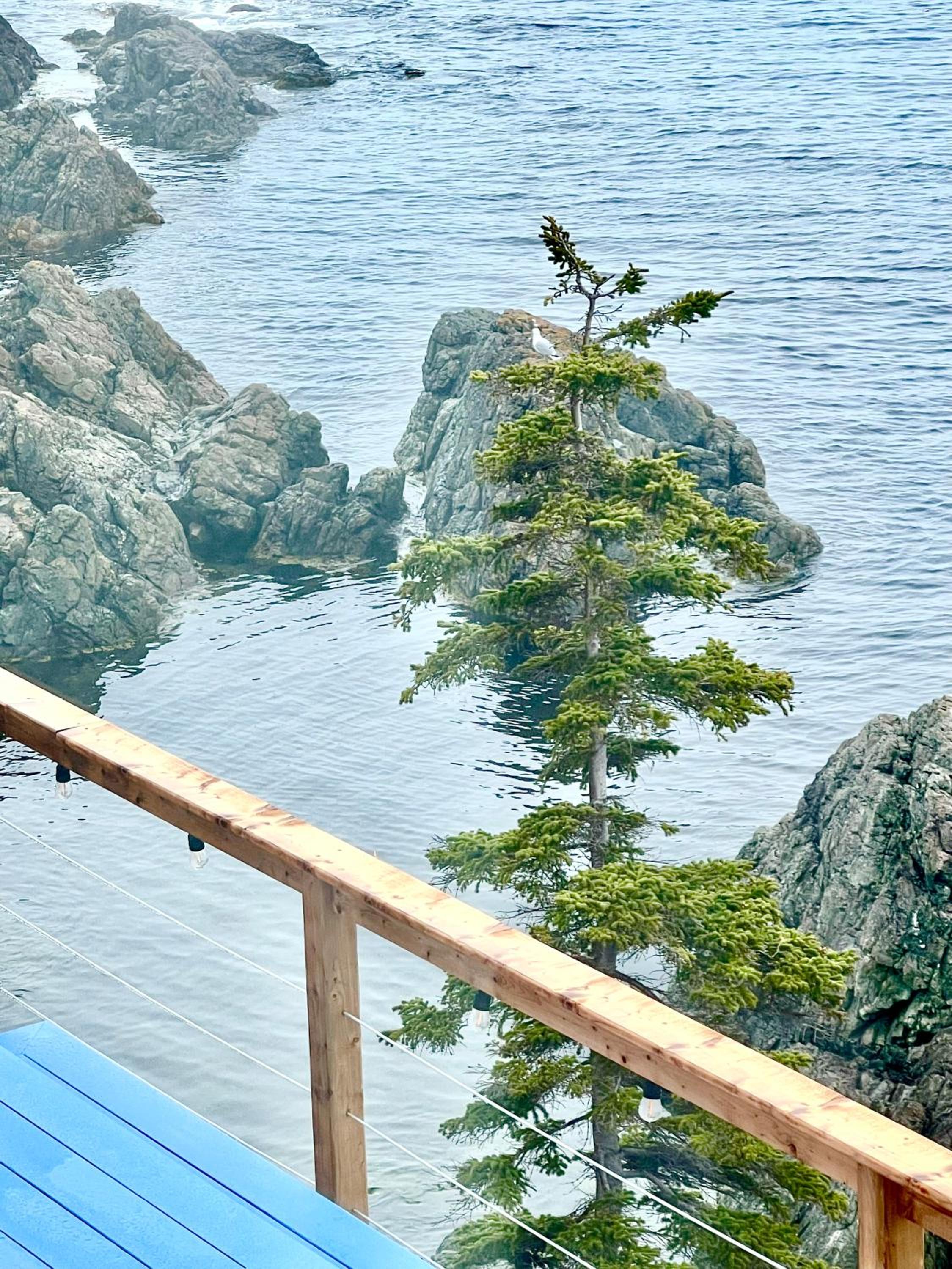 The View suites and breakfast in Triton, Newfoundland