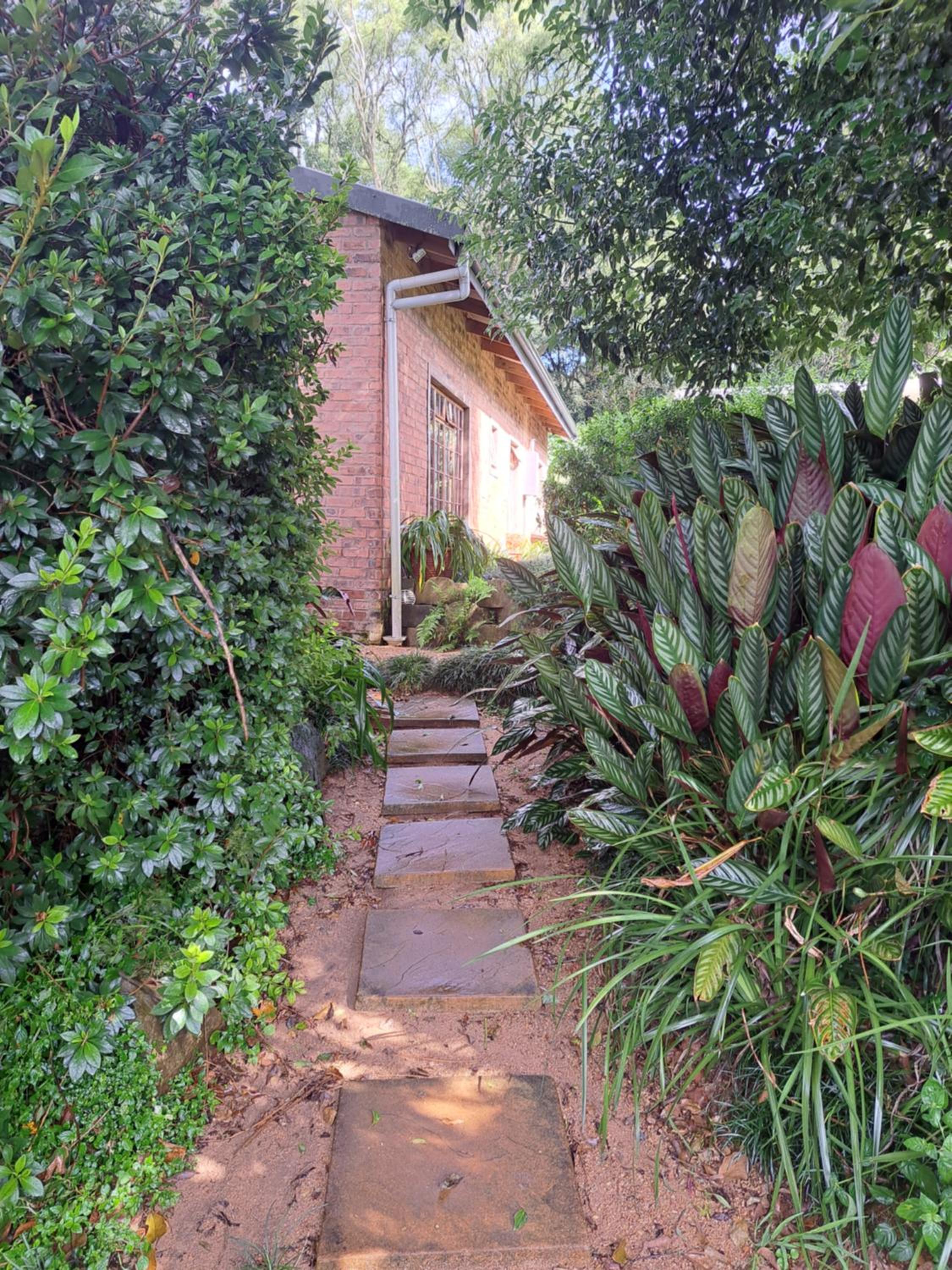 Photo 25