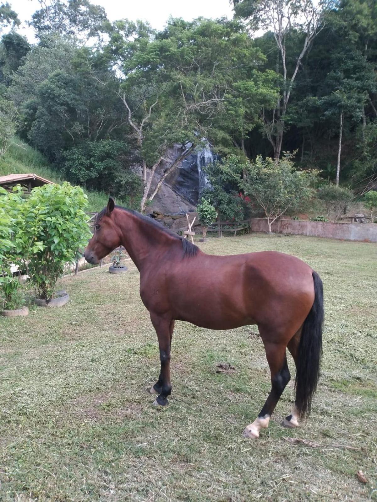 Sítio Olho de Boneca
