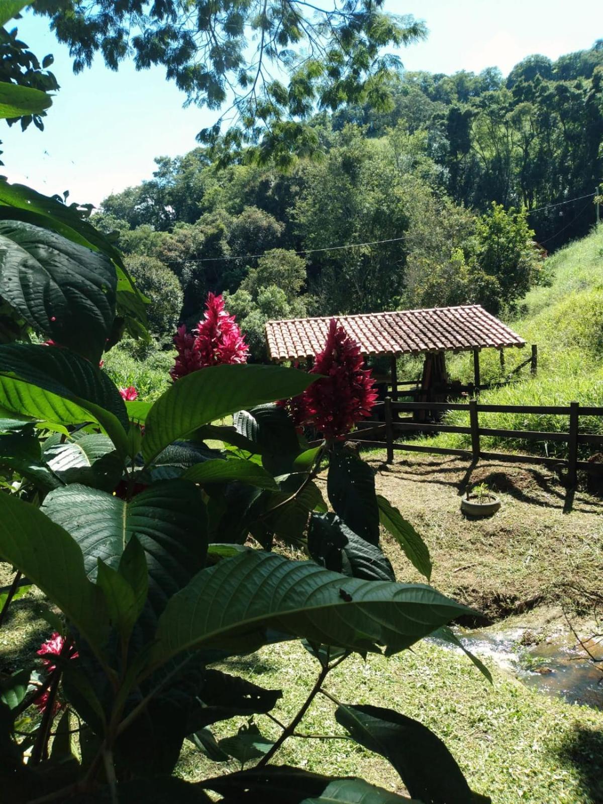 Sítio Olho de Boneca