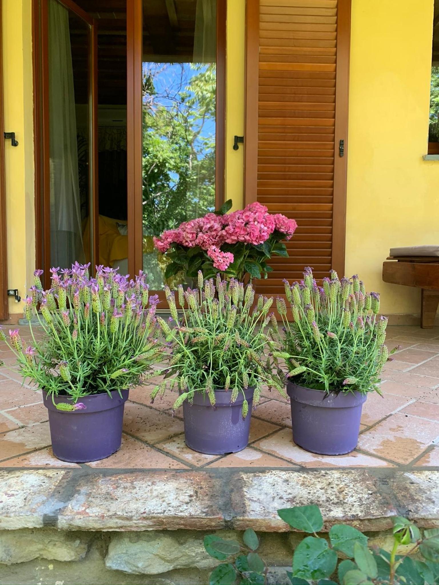 Paola's Villa, Tuscany view 4