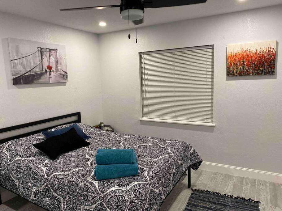 Lovely 2-Bedrooms Central Clearwater Apartment view 5