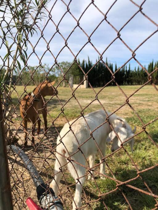 Chalet a las afueras de Oliva para desconectar