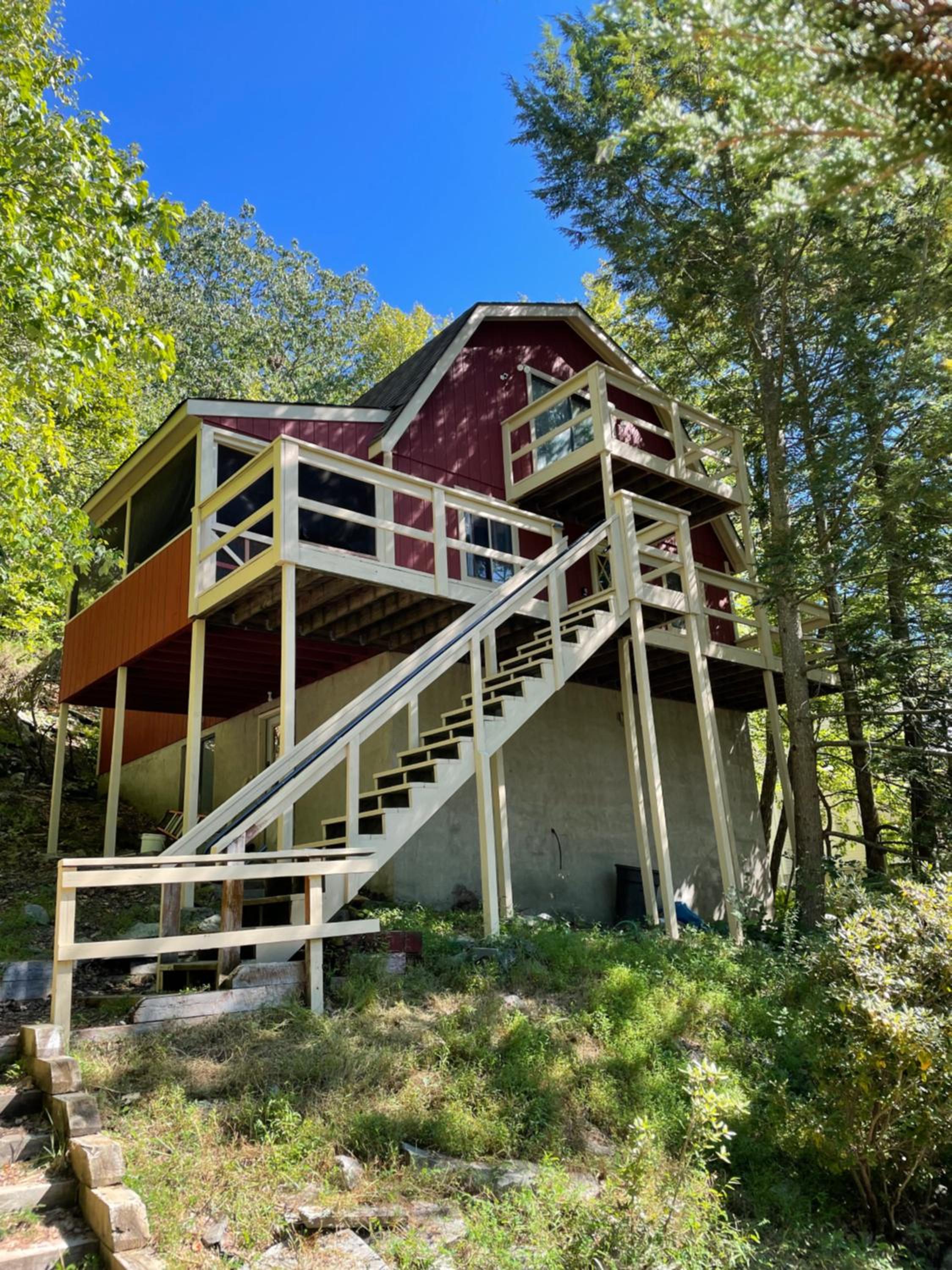 Saw Creek Cabin - Regent Hilltop