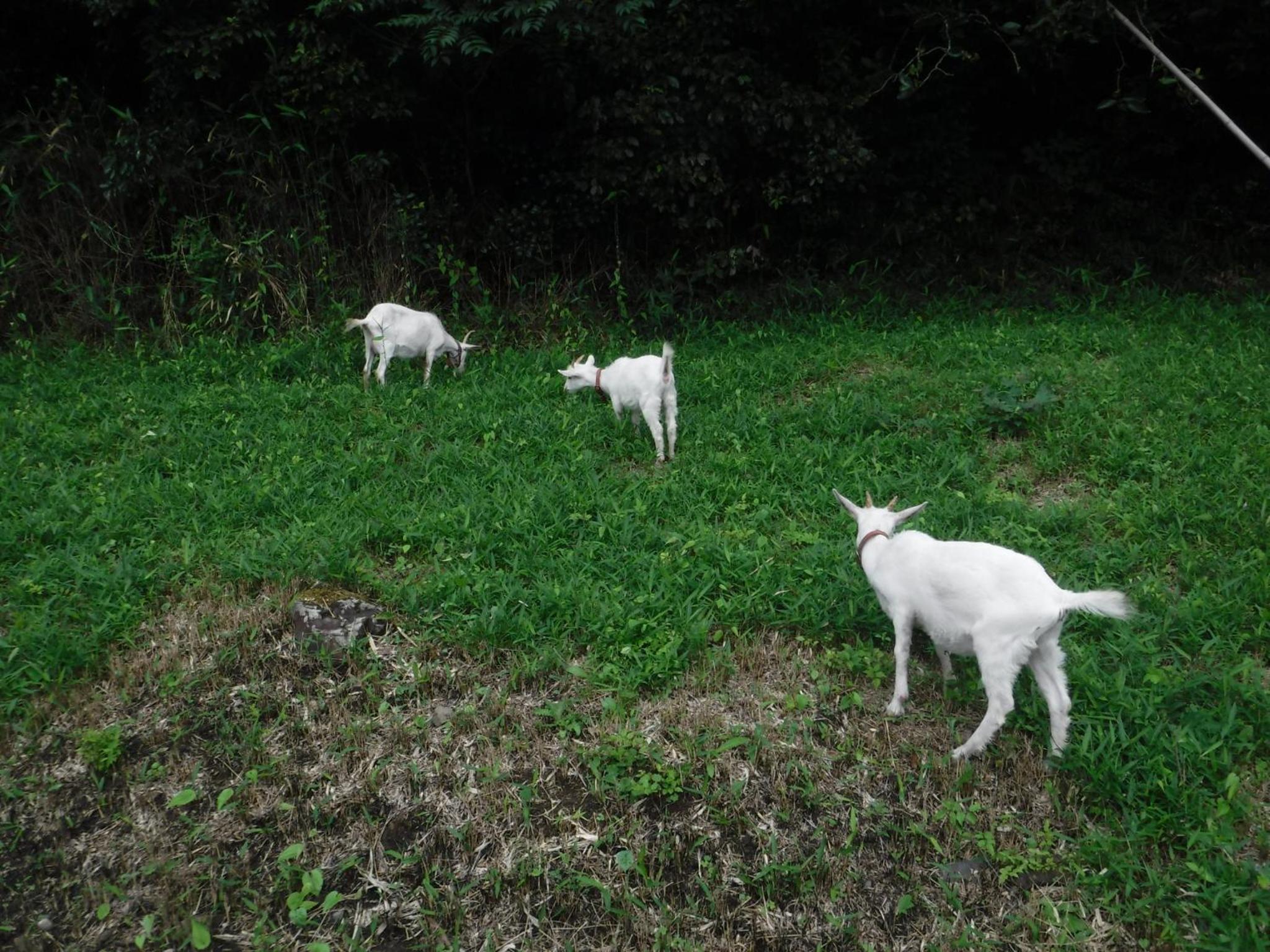 Photo 25