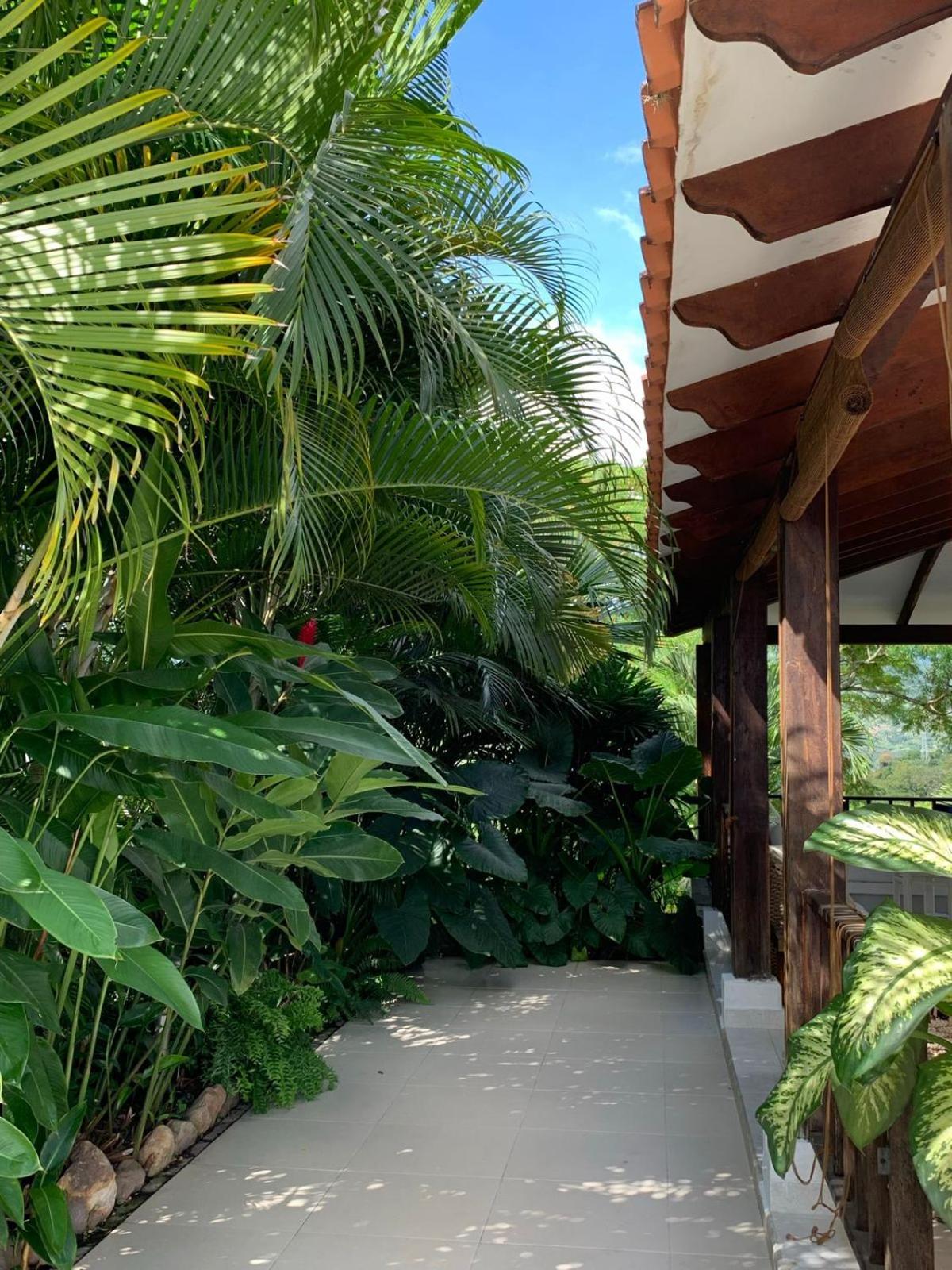 Finca San Pedro