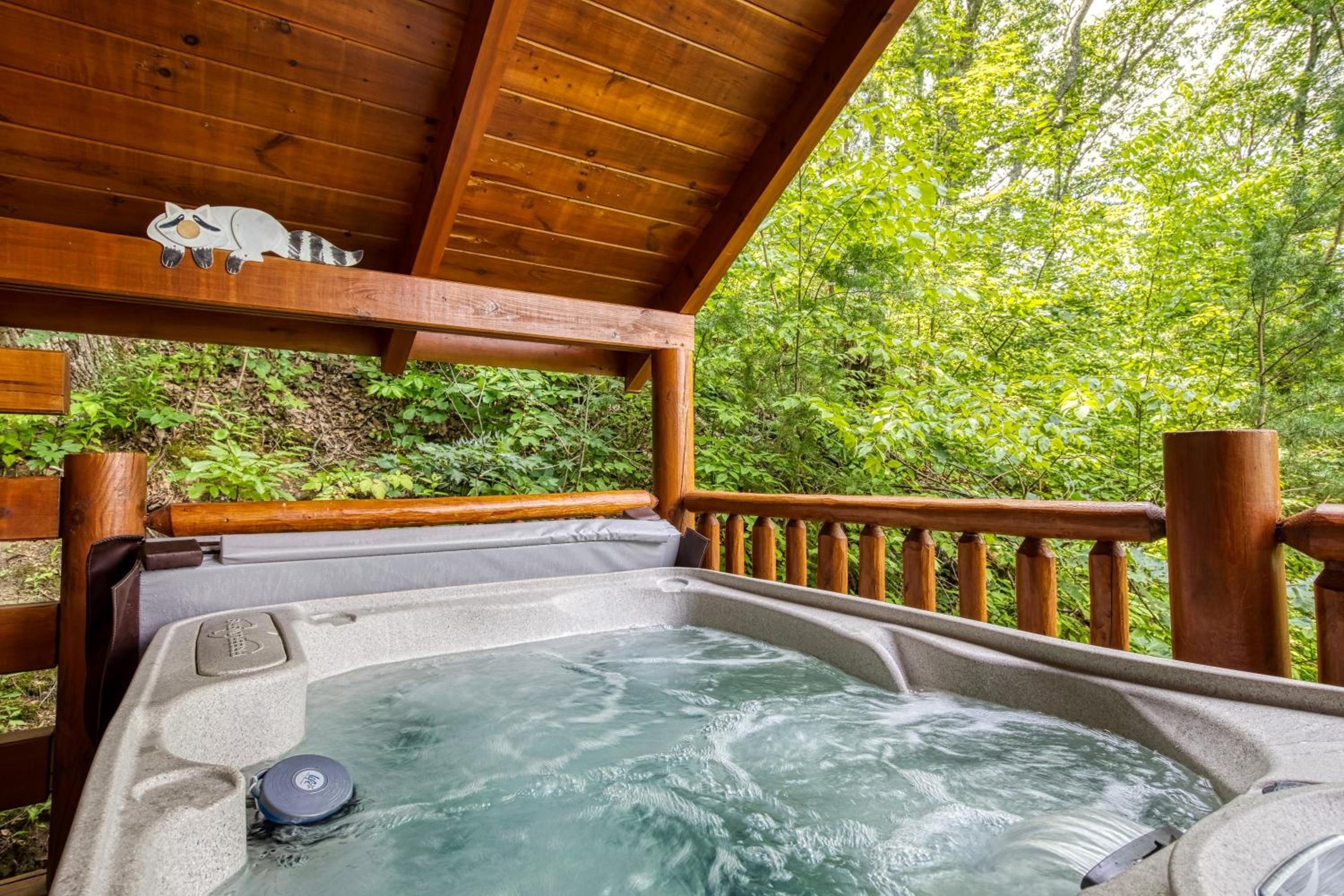 Star Gazer, Hot Tub, Pool Table, 560 FREE tickets each paid day