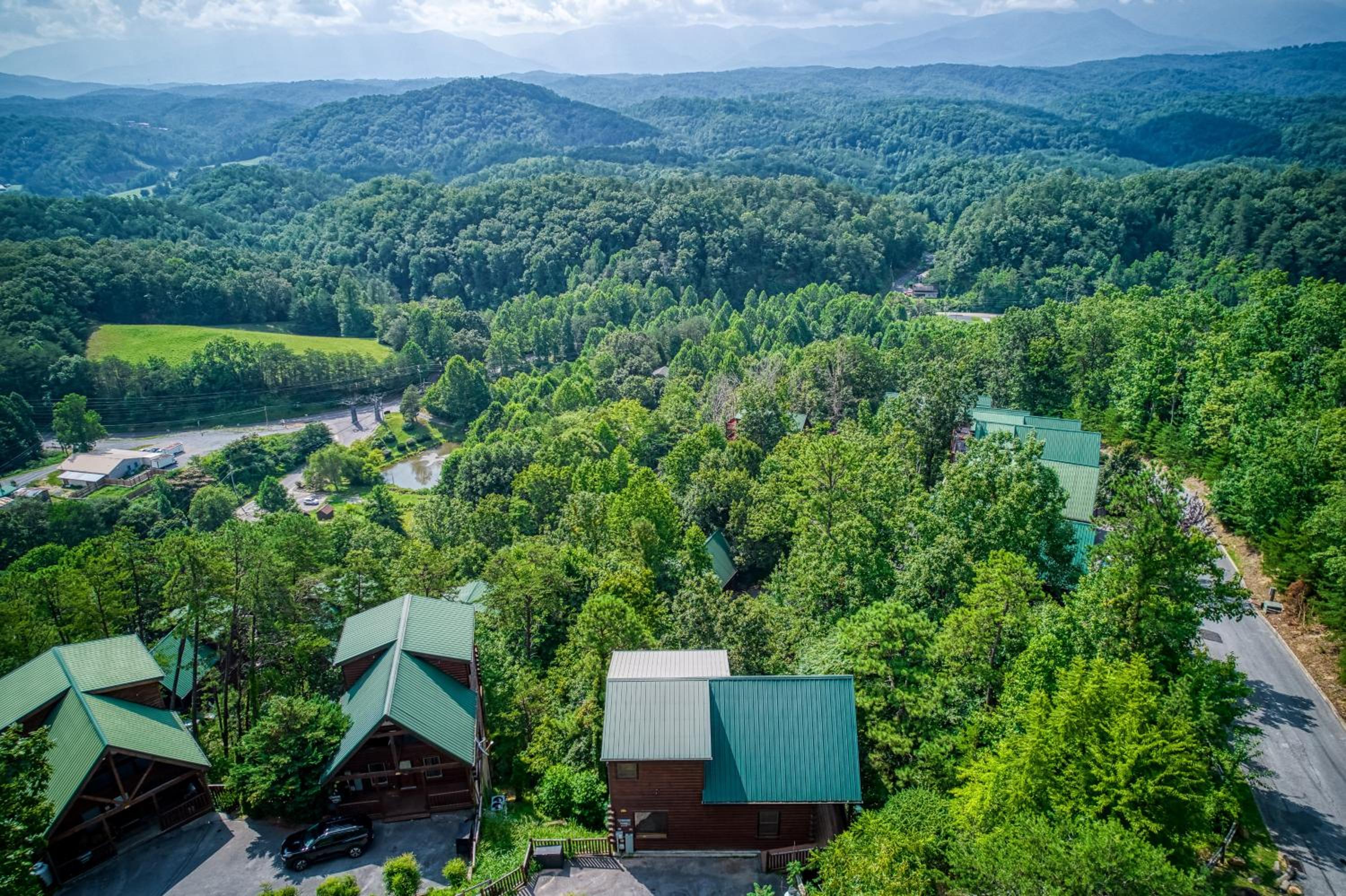 Photo 51