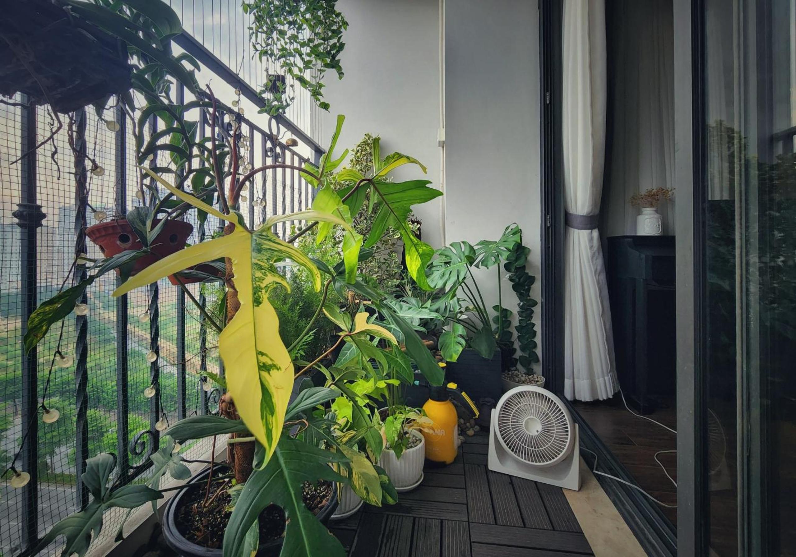 Căn hộ westlake cao cấp