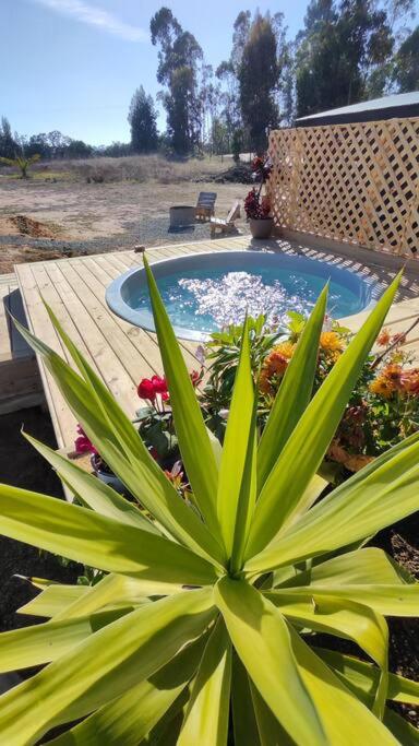 Cabaña con fogon y parrilla en plena naturaleza!
