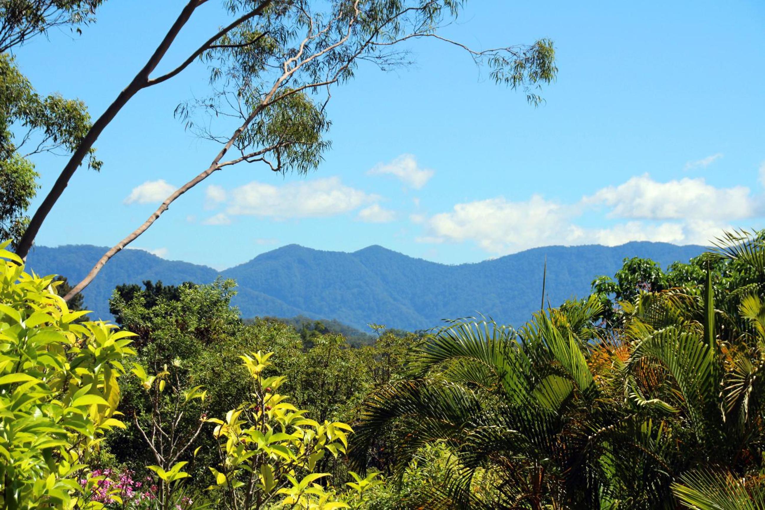 Bella Vista Bellingen