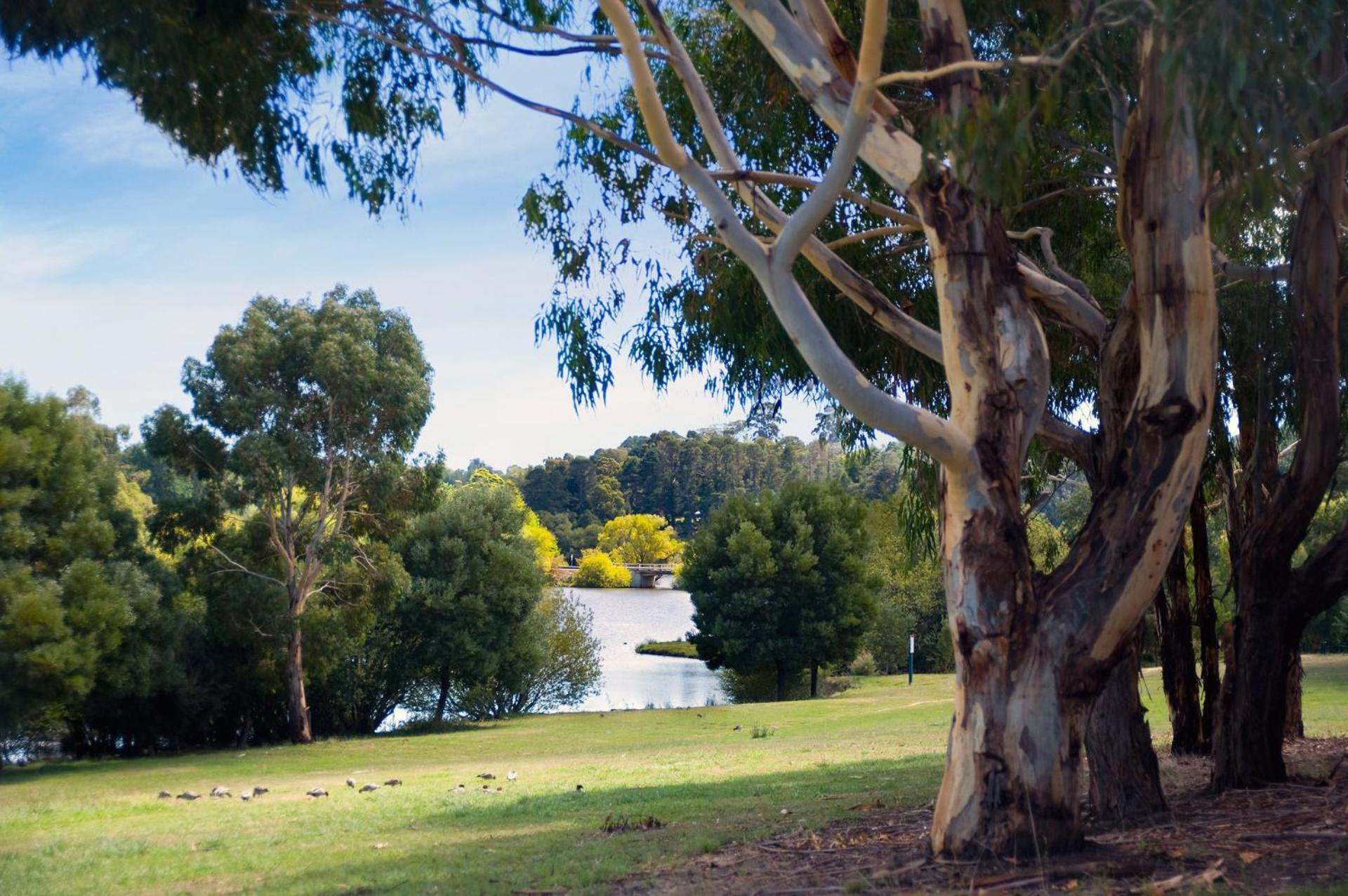 Lake Daylesford Lodge 4