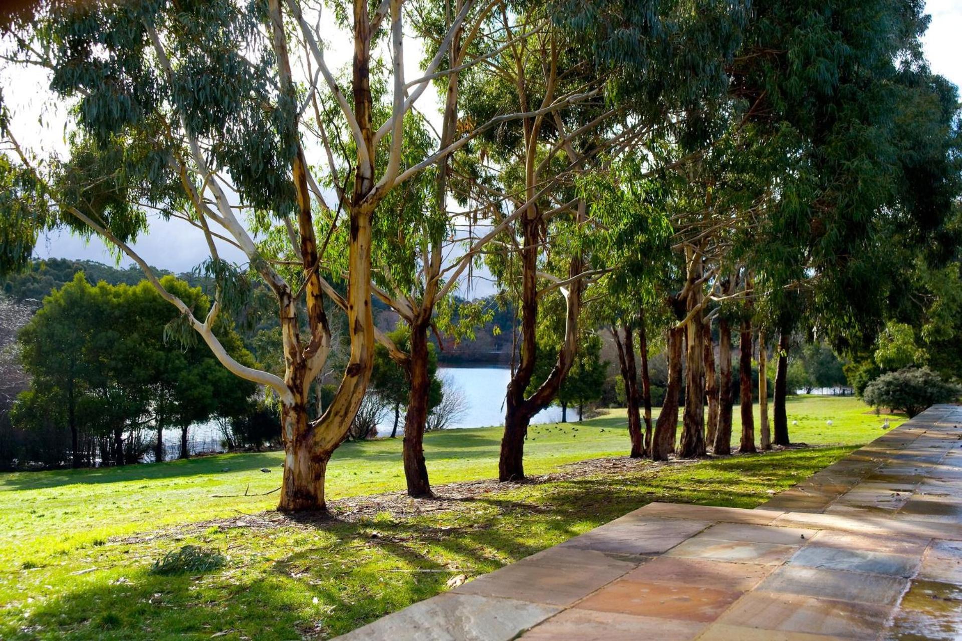 Lake Daylesford Lodge 5