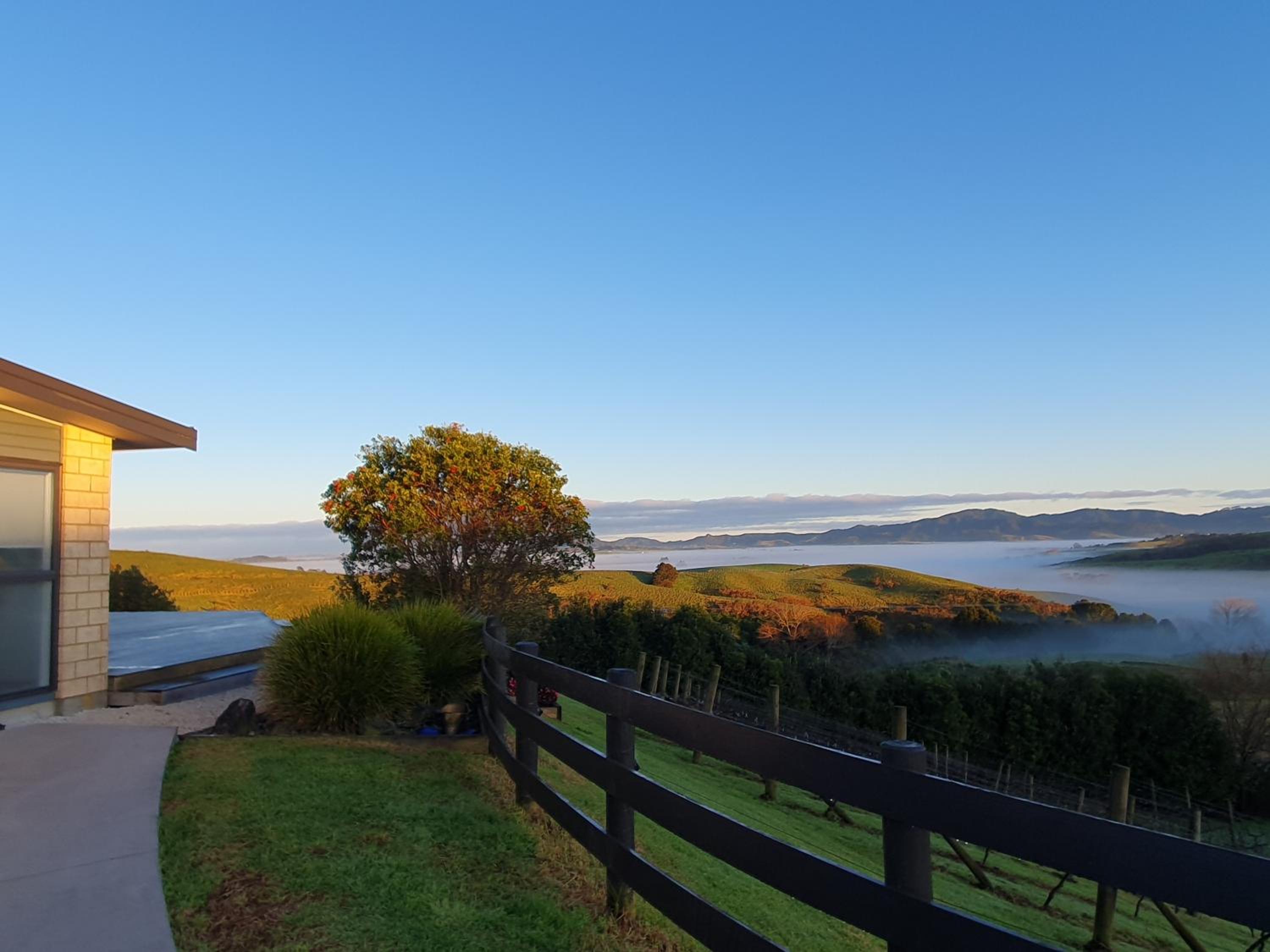 Vineyard Vacation