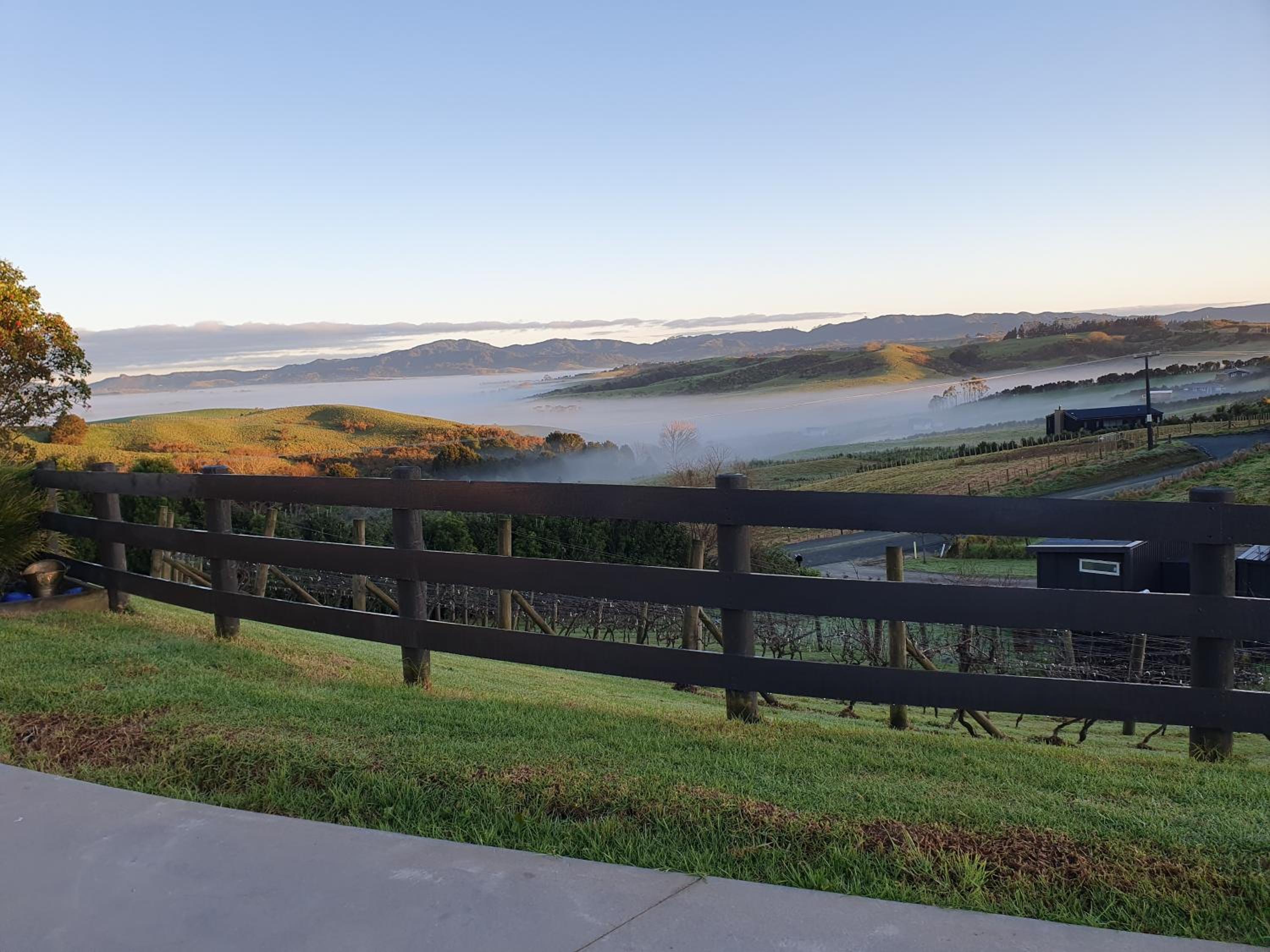 Vineyard Vacation