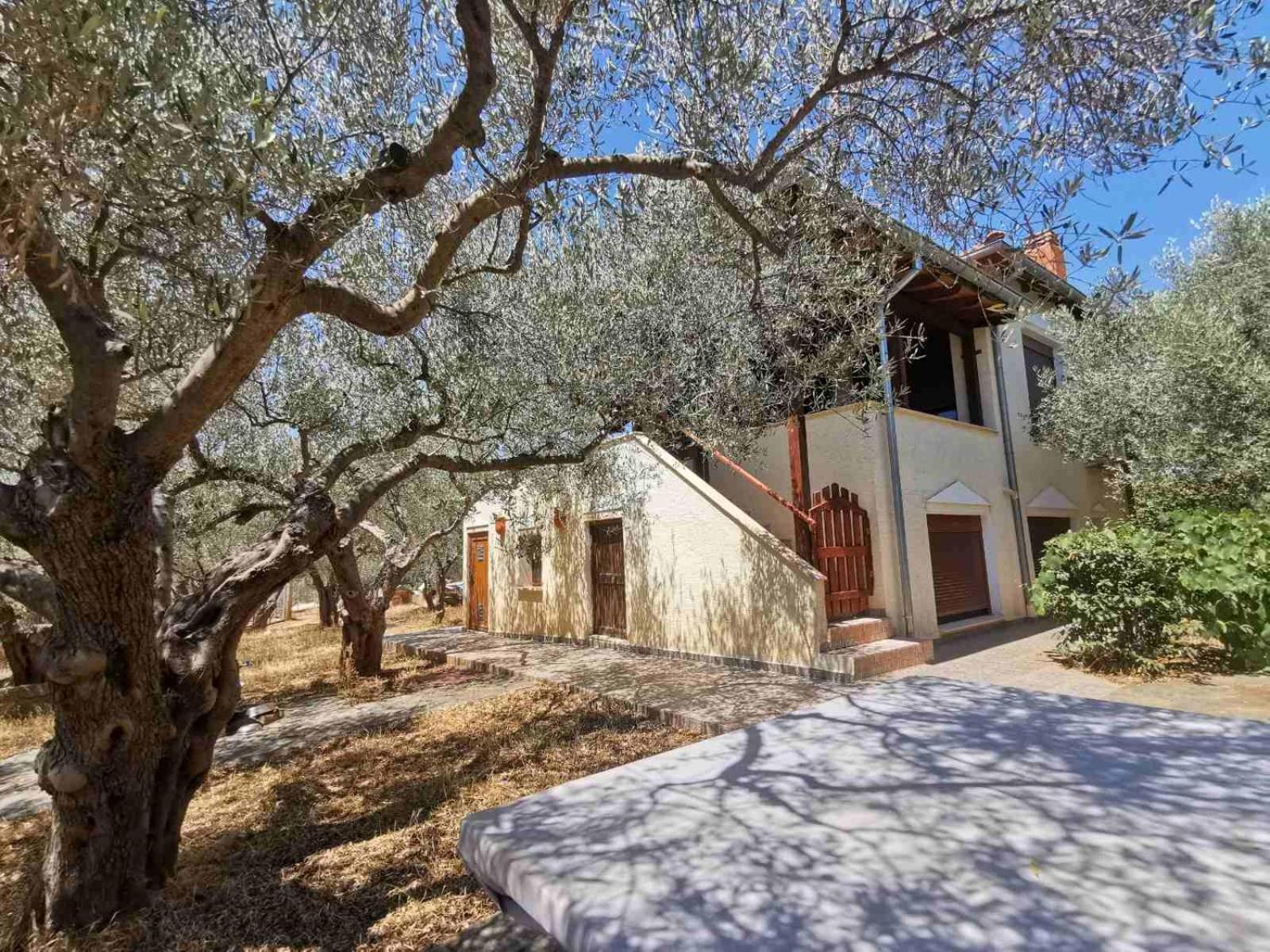 Villa Elli
