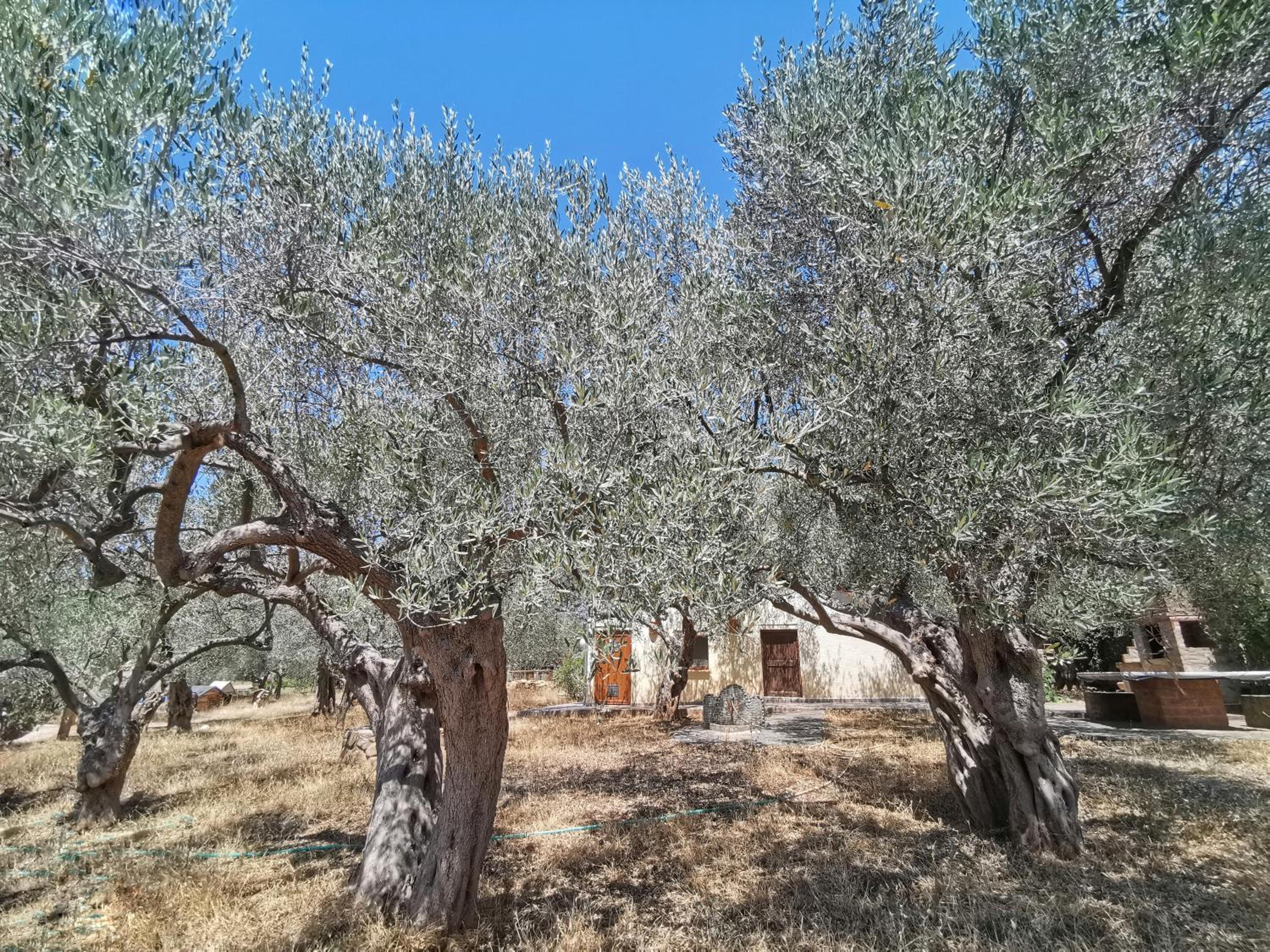 Villa Elli