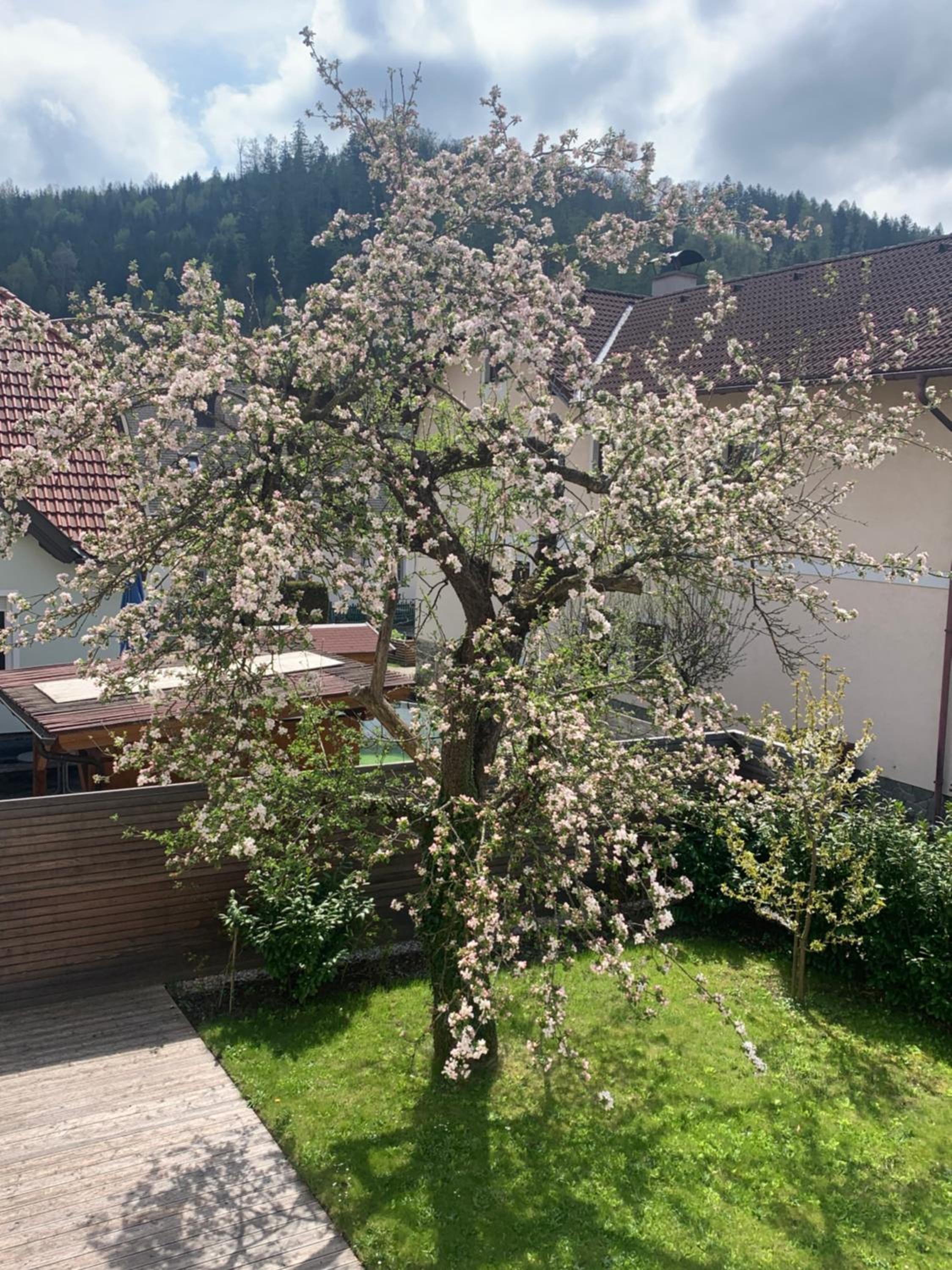 HAUS ZWEI