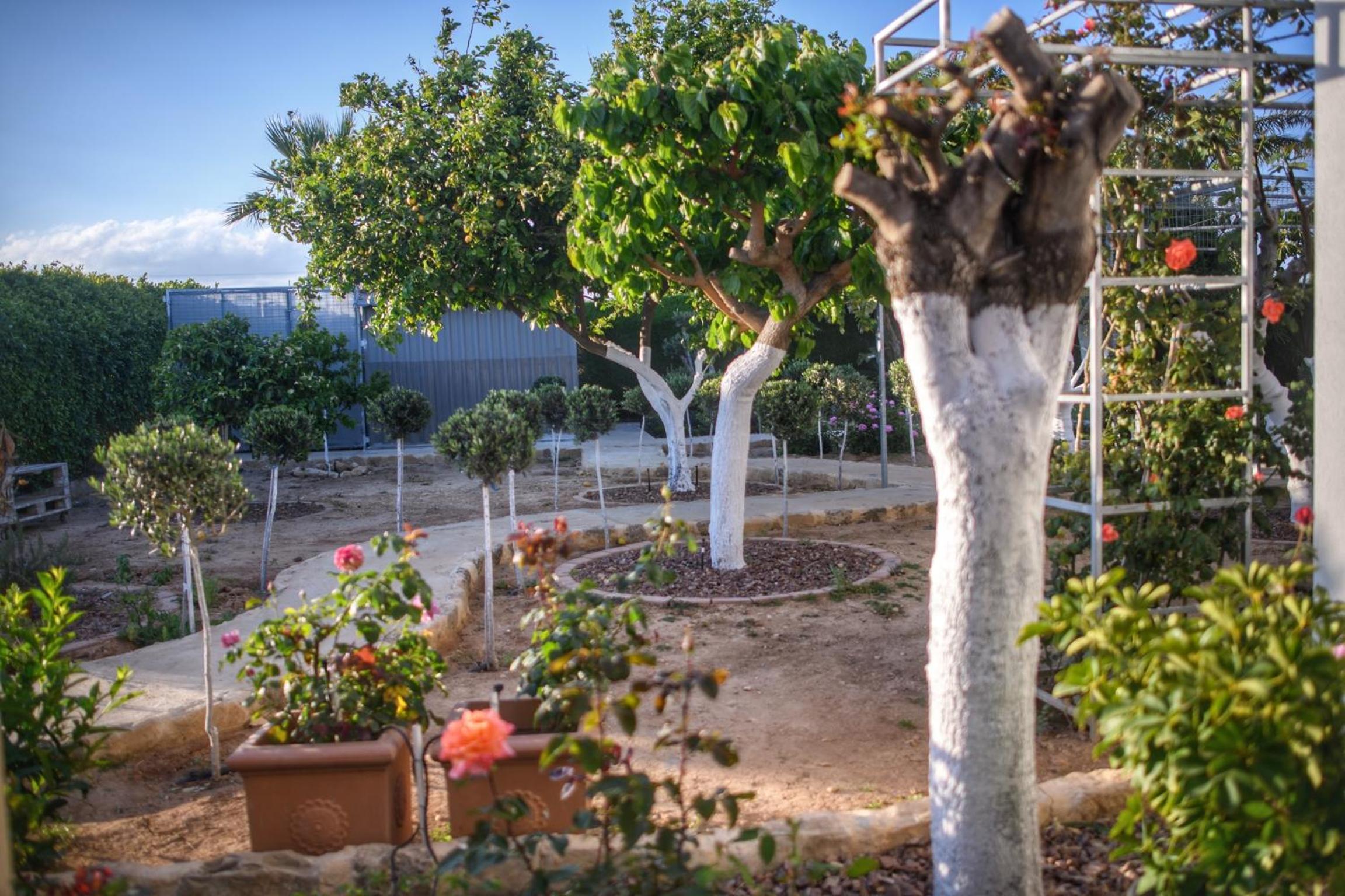 Oasis By The Sea - Cyprus